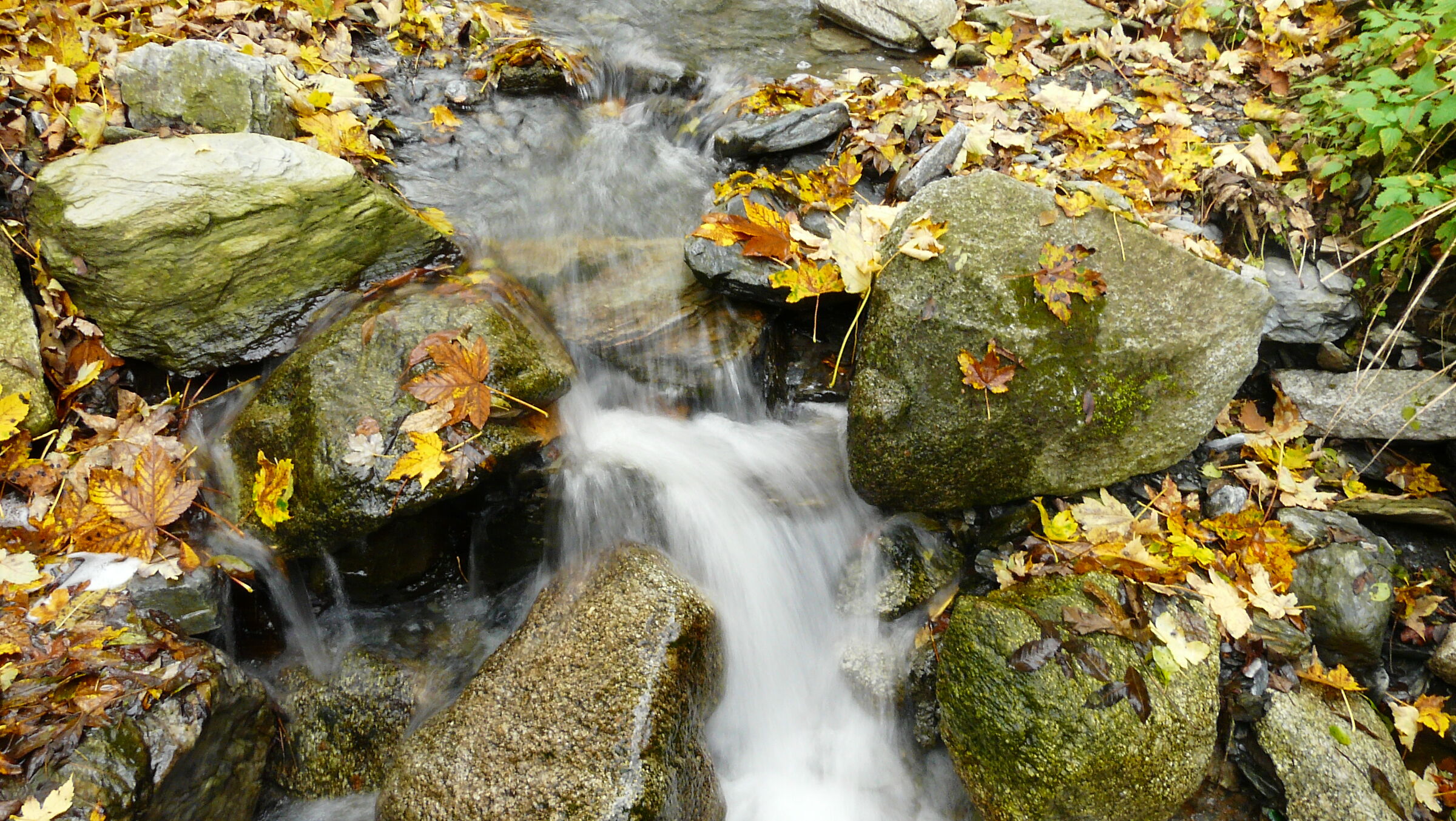 Stream in Bormio