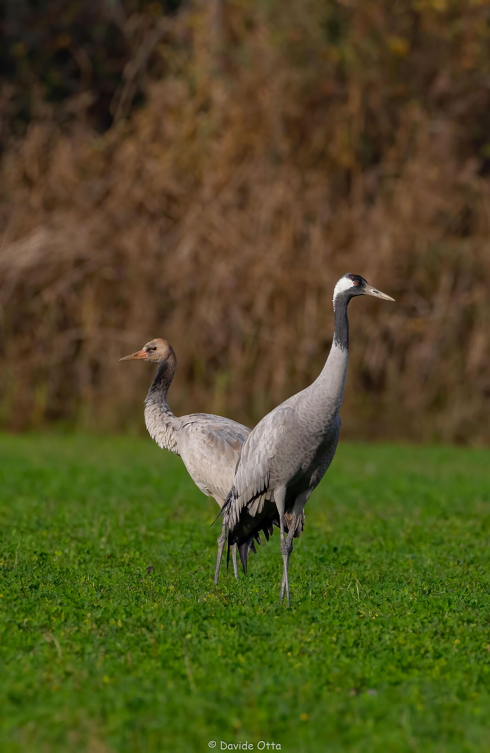 Una pausa prima di ripartire