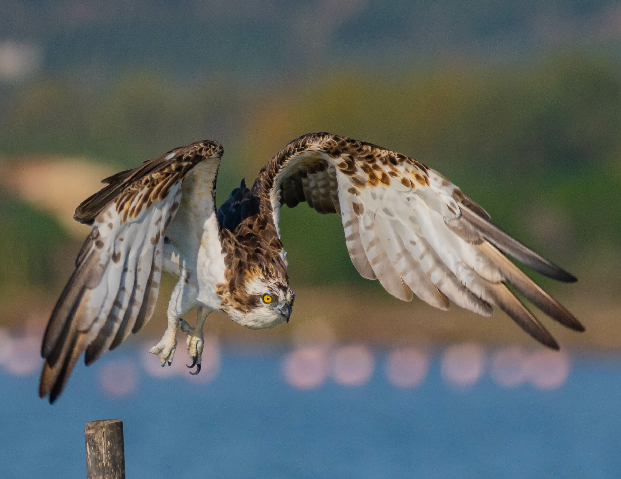 Take off!