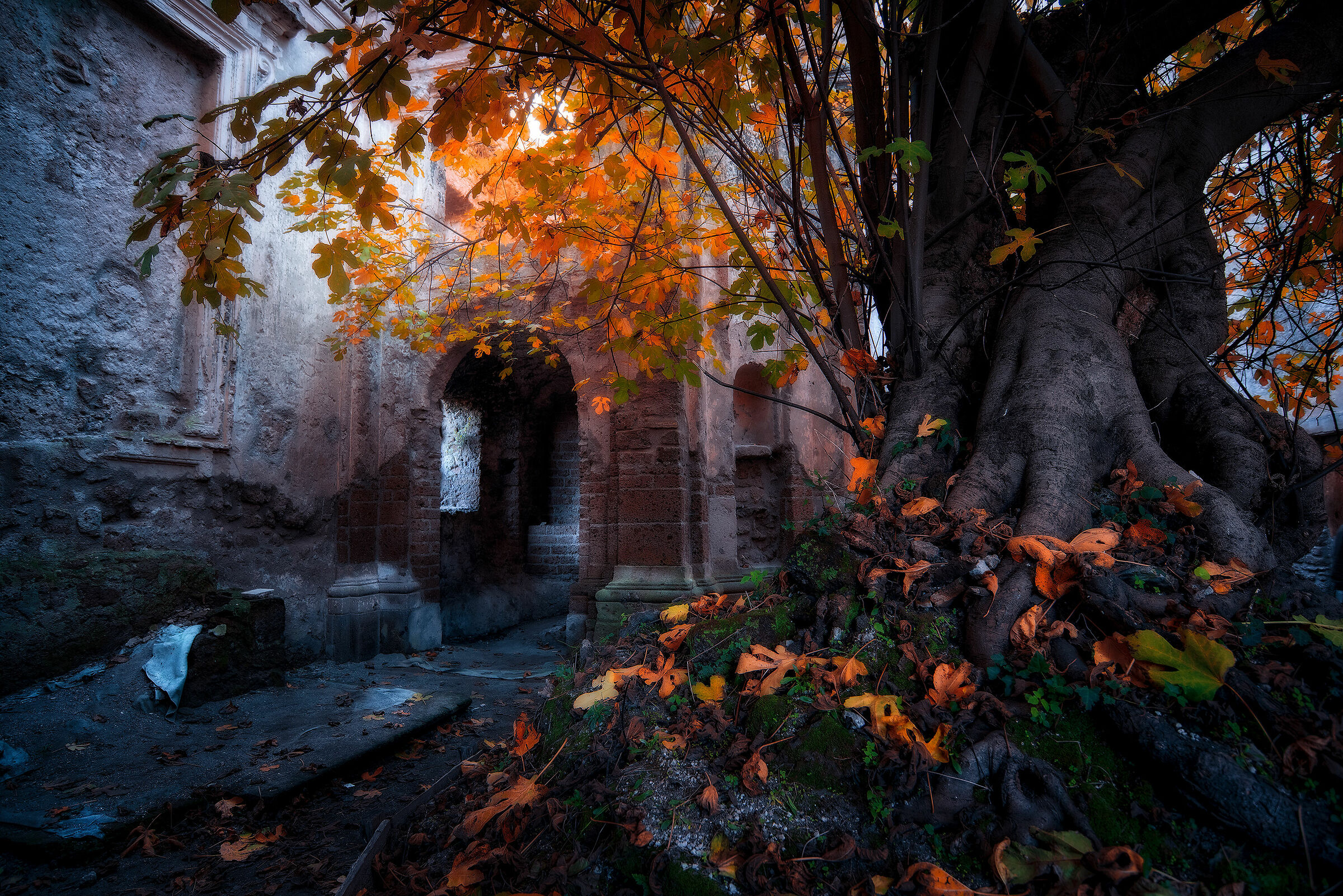 Chiesa di San Bonaventura