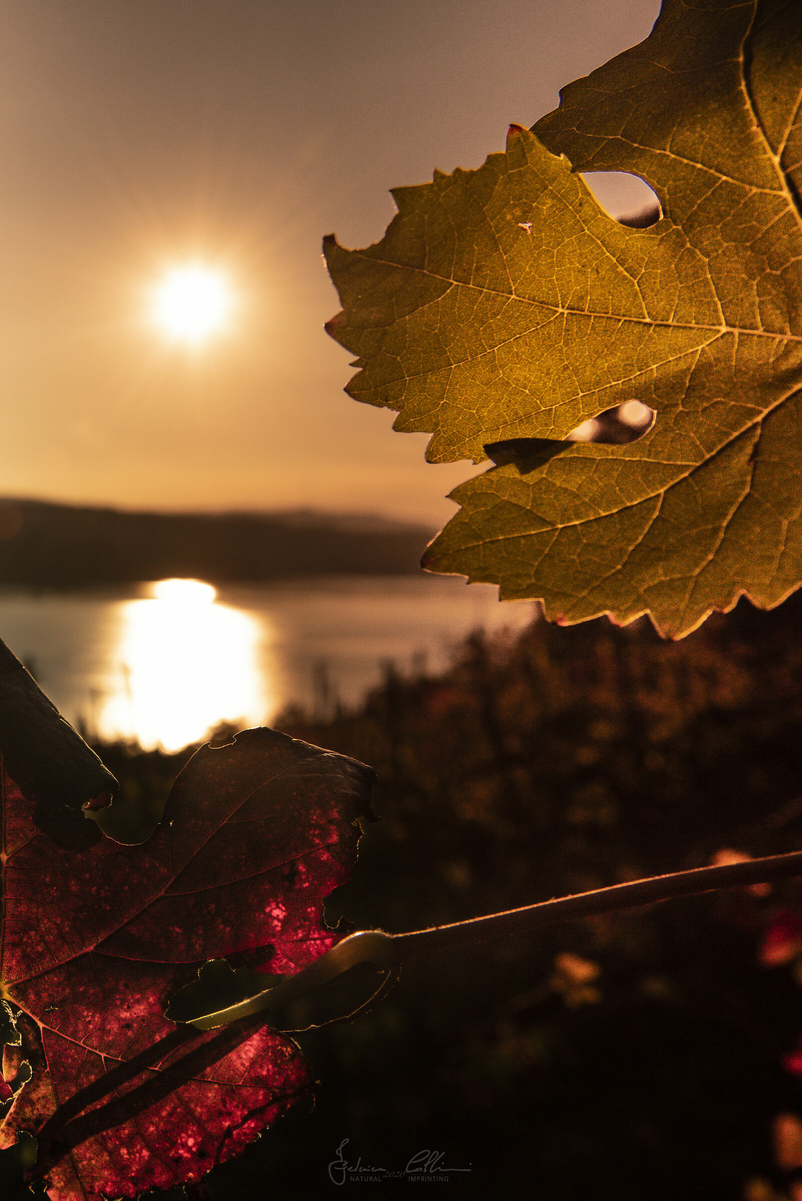 Where sunsets look sunrises