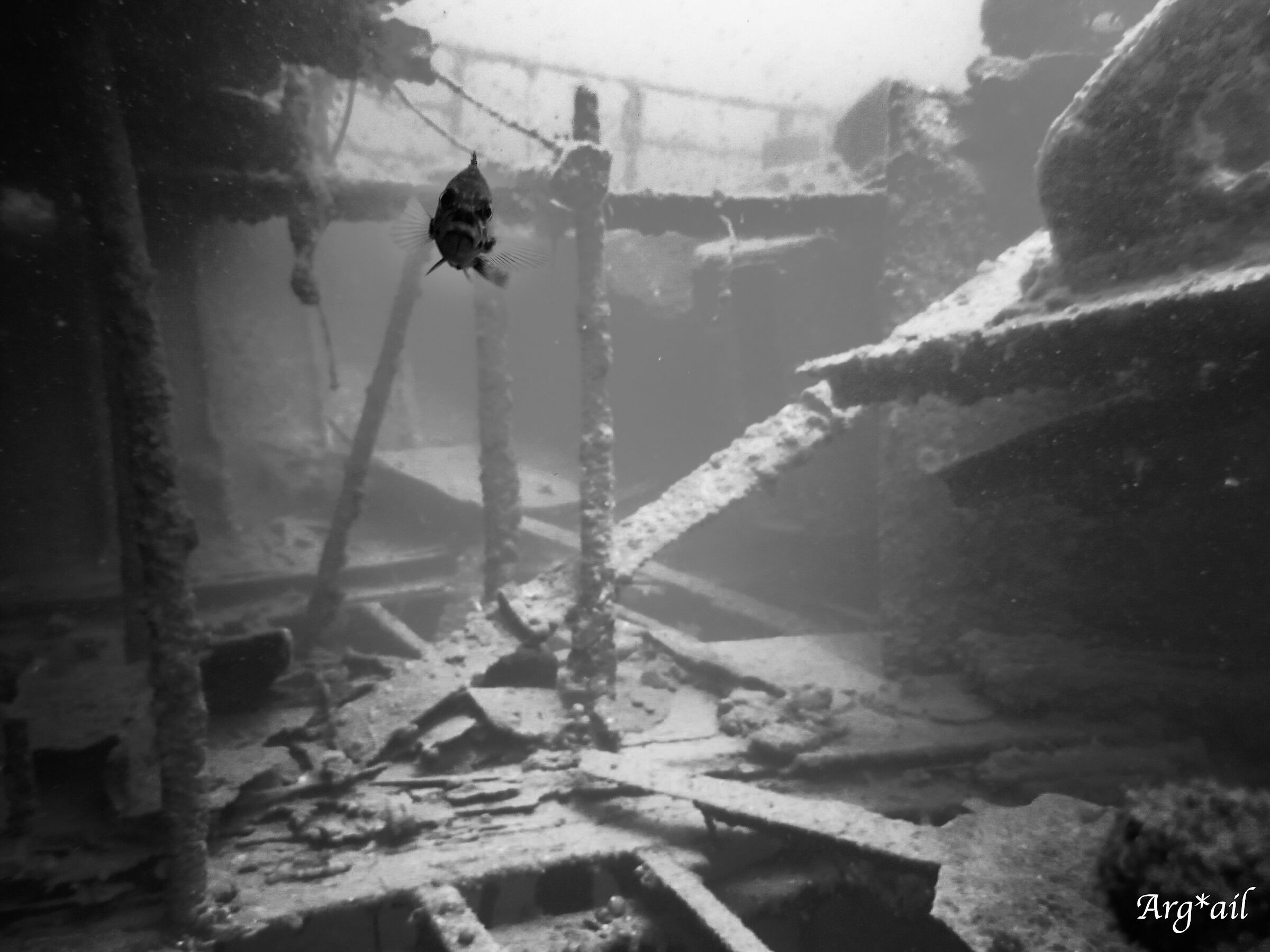 Wreck and the Sarago