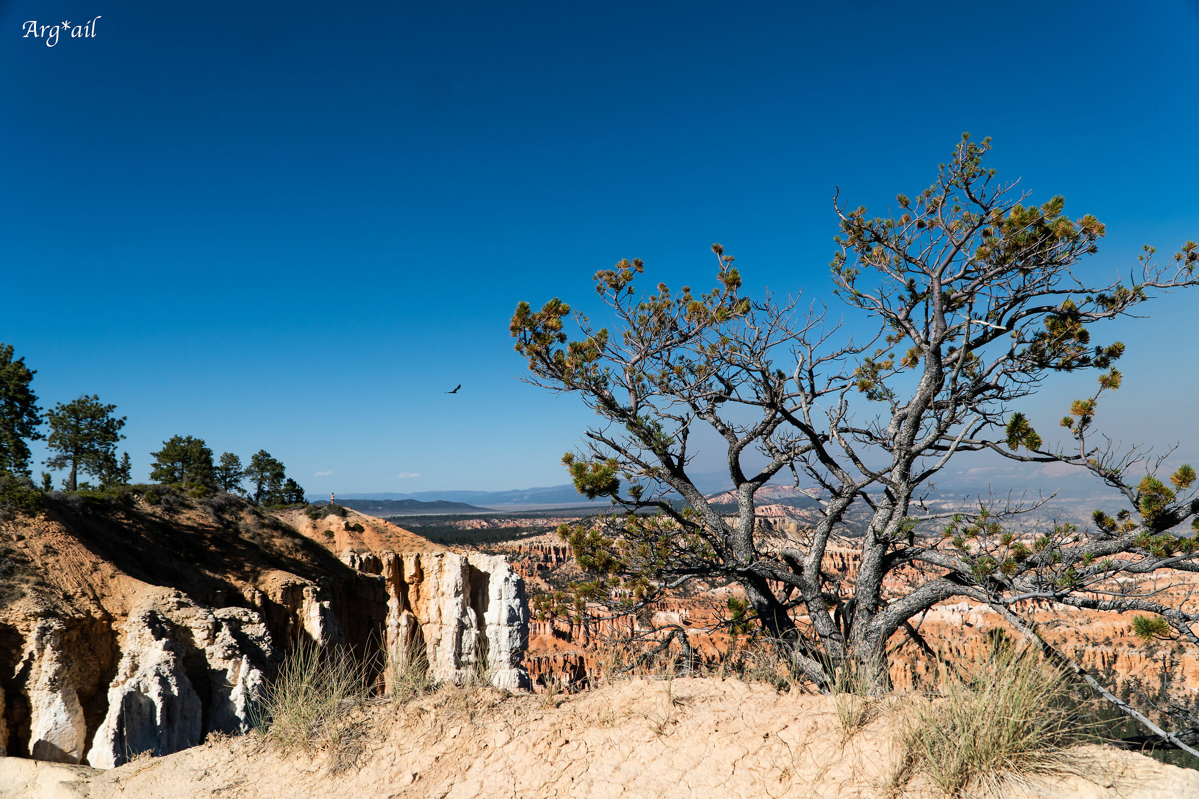 Bryce Canyon