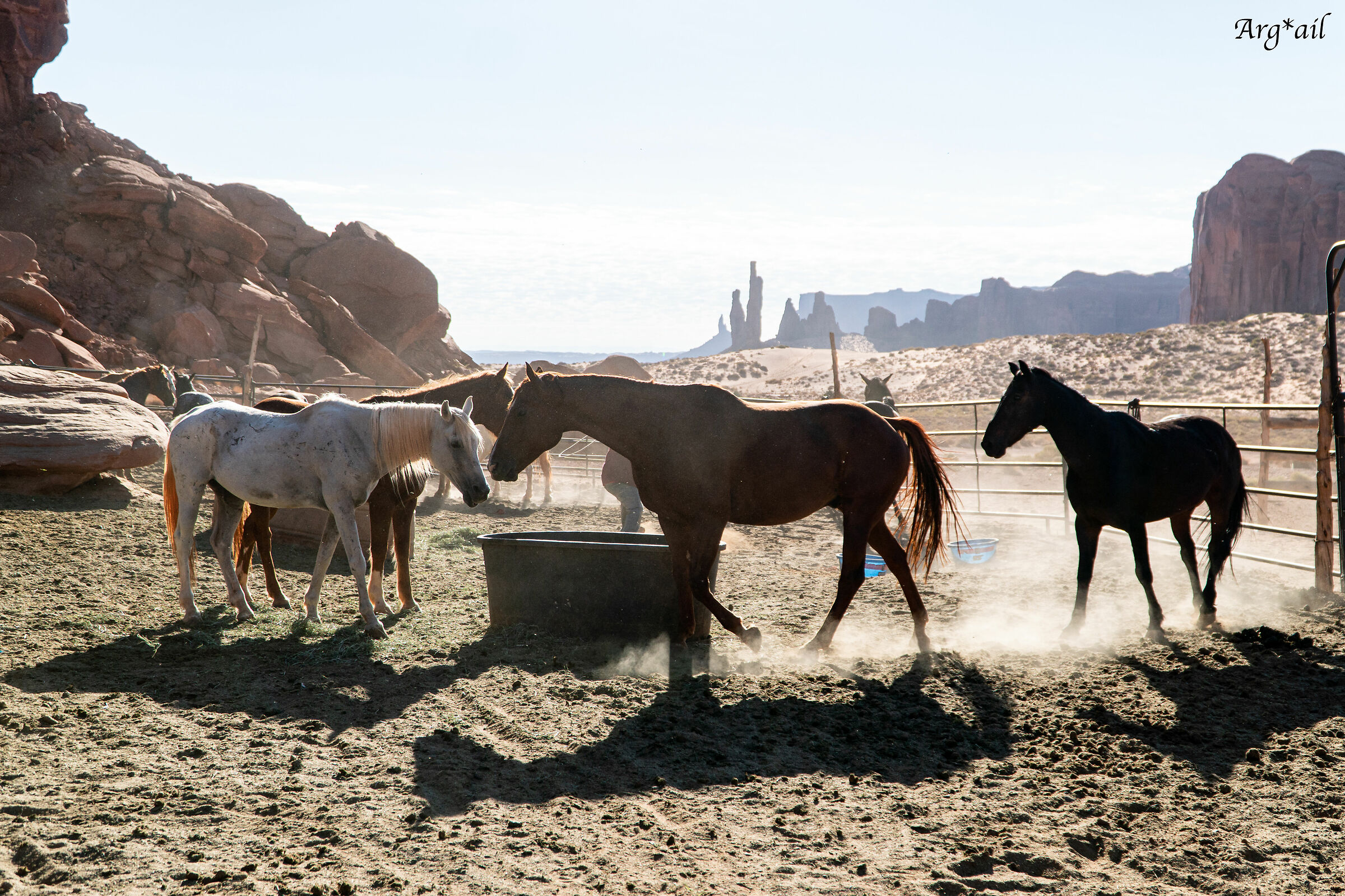 Monument valley - Horses