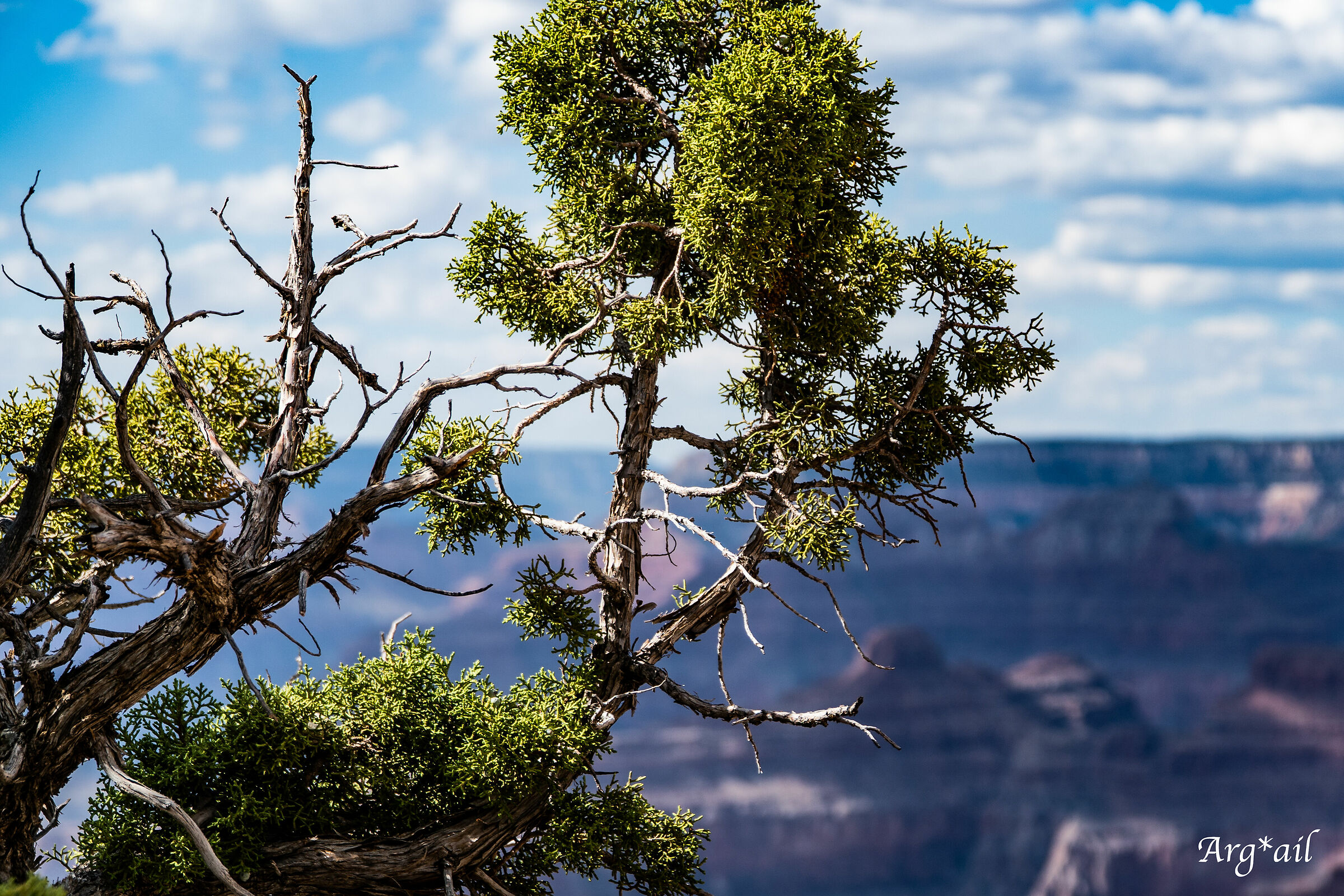 Grand Canyon