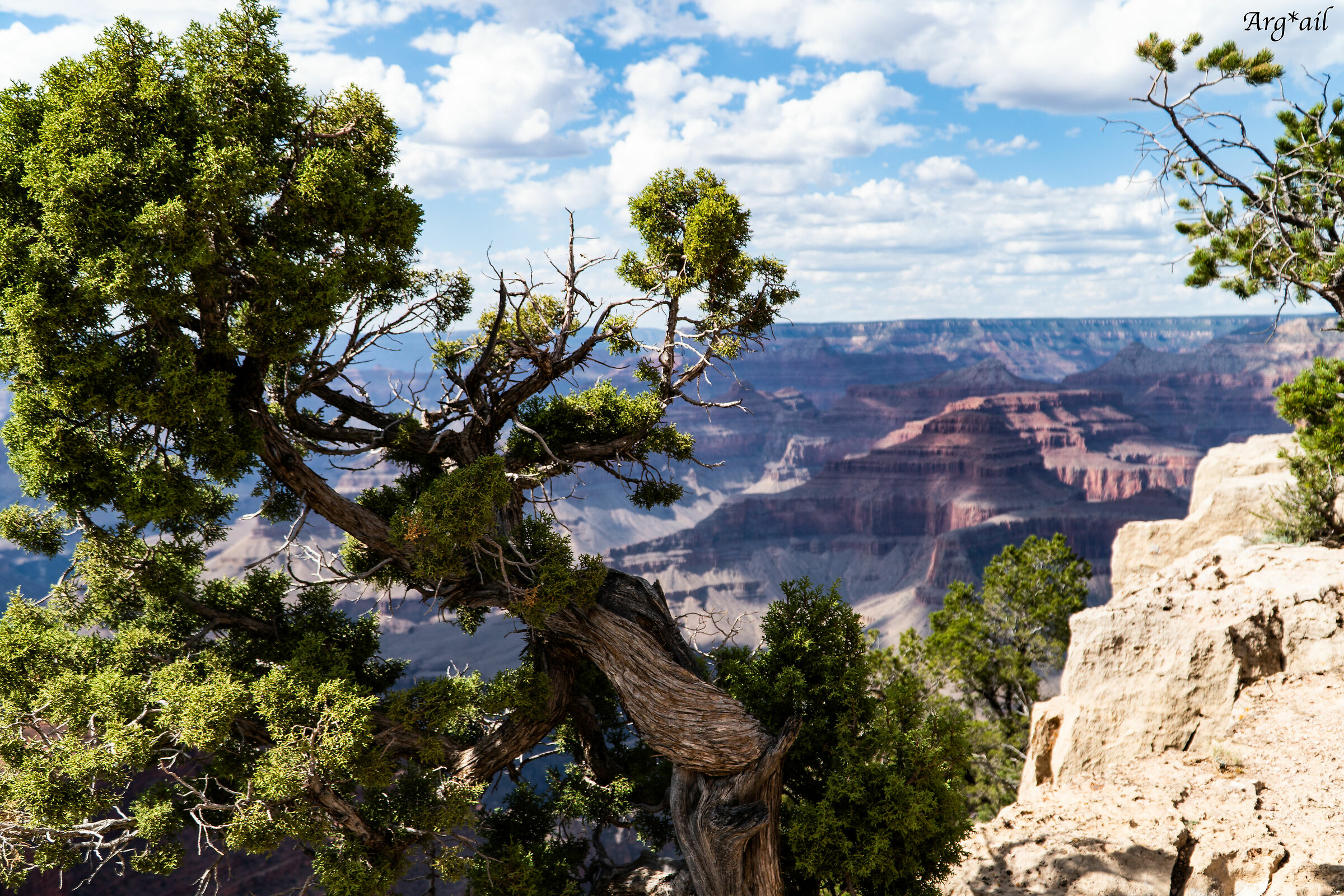 Grand Canyon