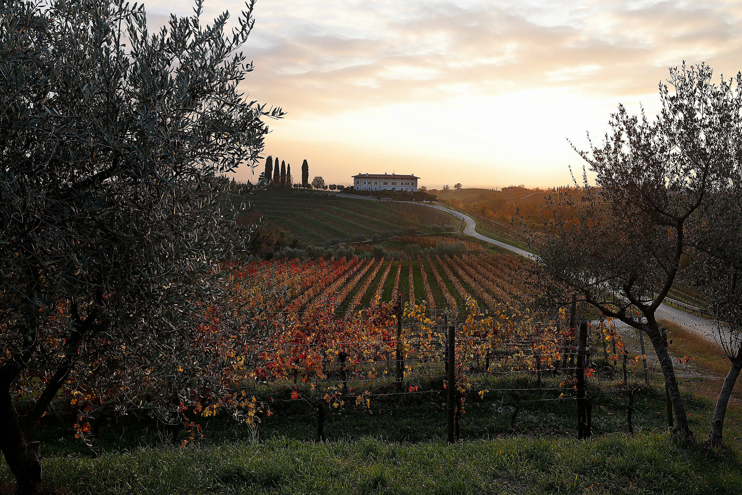 soliti colori d'autunno