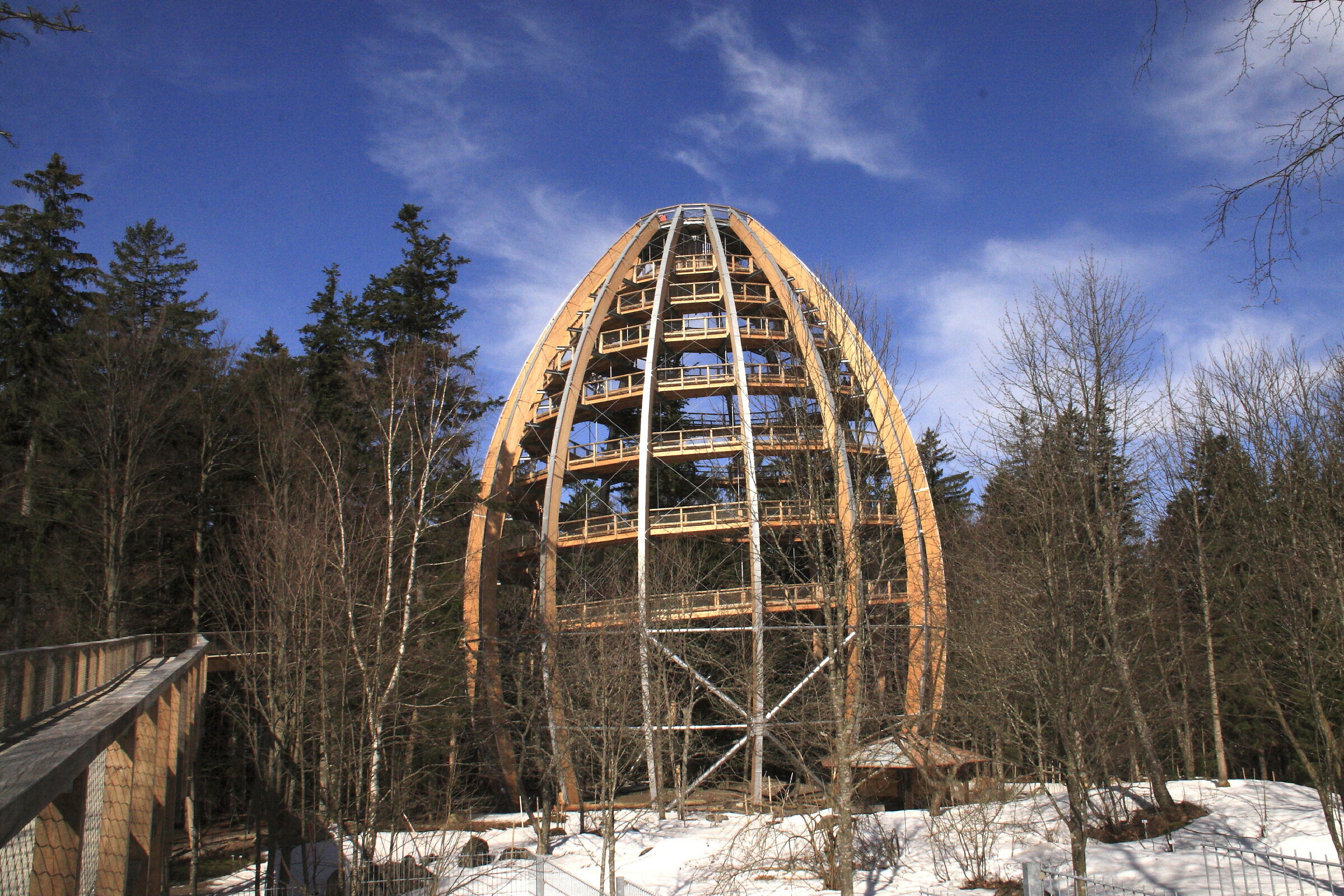 Baumwipfelpfad