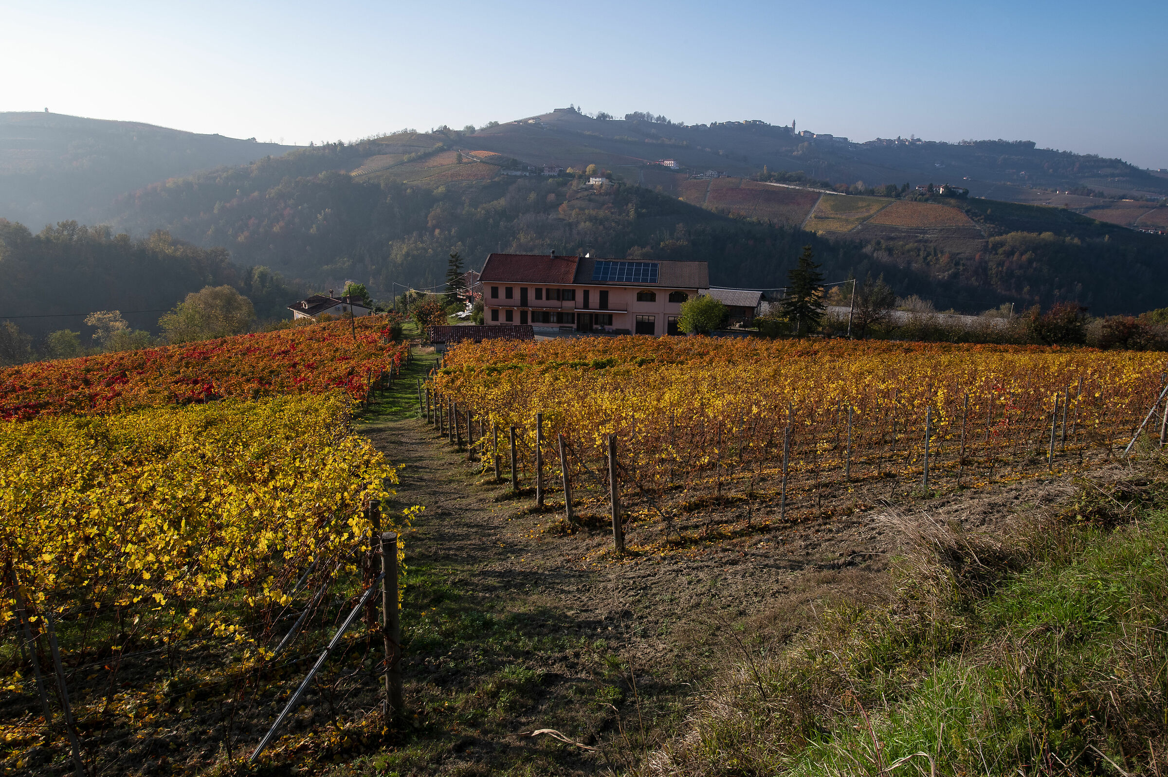 Autumn in the langhe