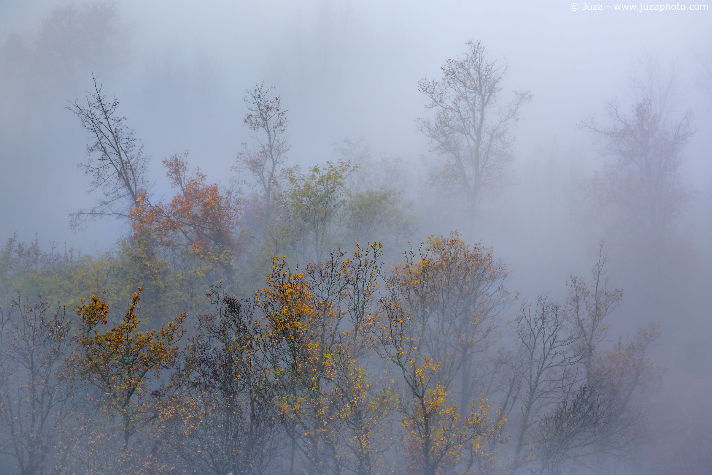 Nebbia e colori d'autunno
