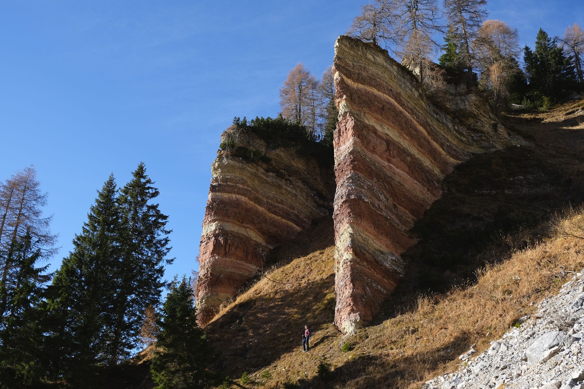 Campanili colorati in Carnia