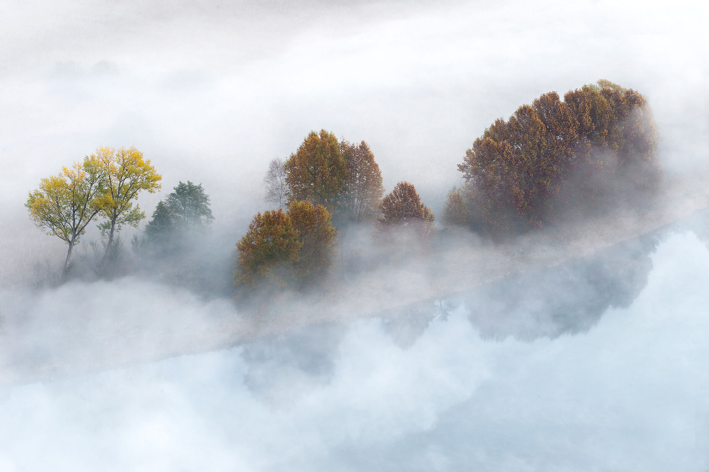 Nebbia Autunnale