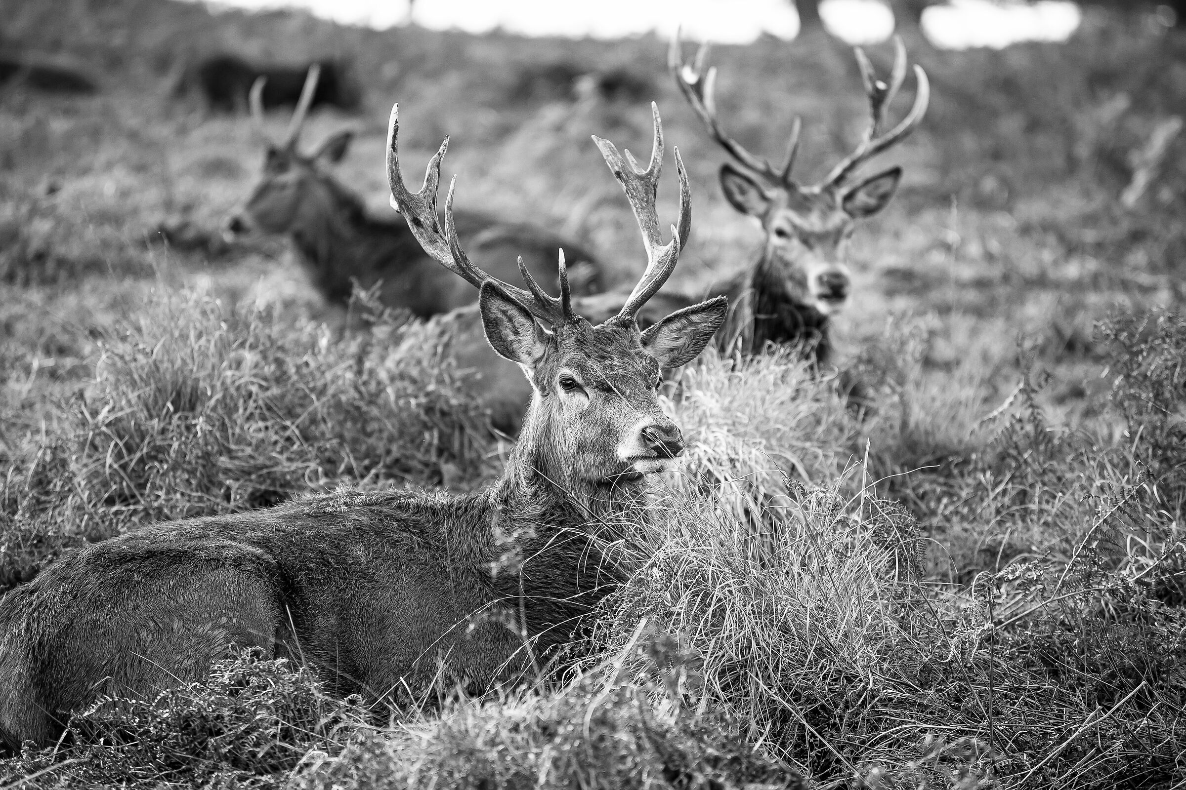 Relax dopo il temporale