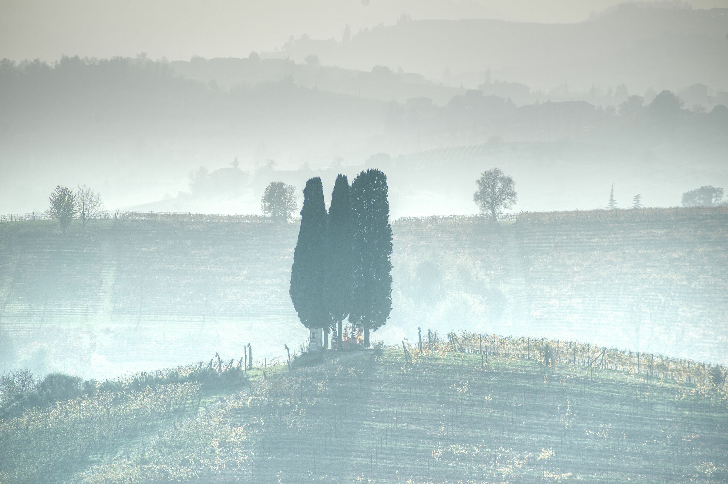 il Piemonte che non t'aspetti...