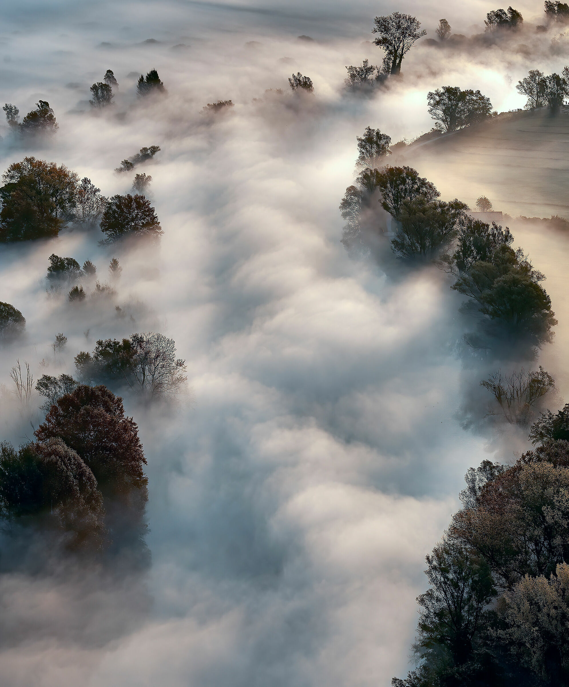 Magical Fog
