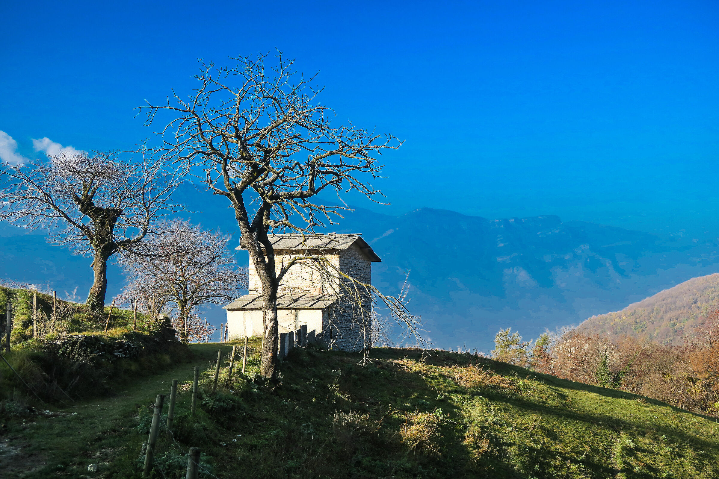 Lessini Plateau - Verona