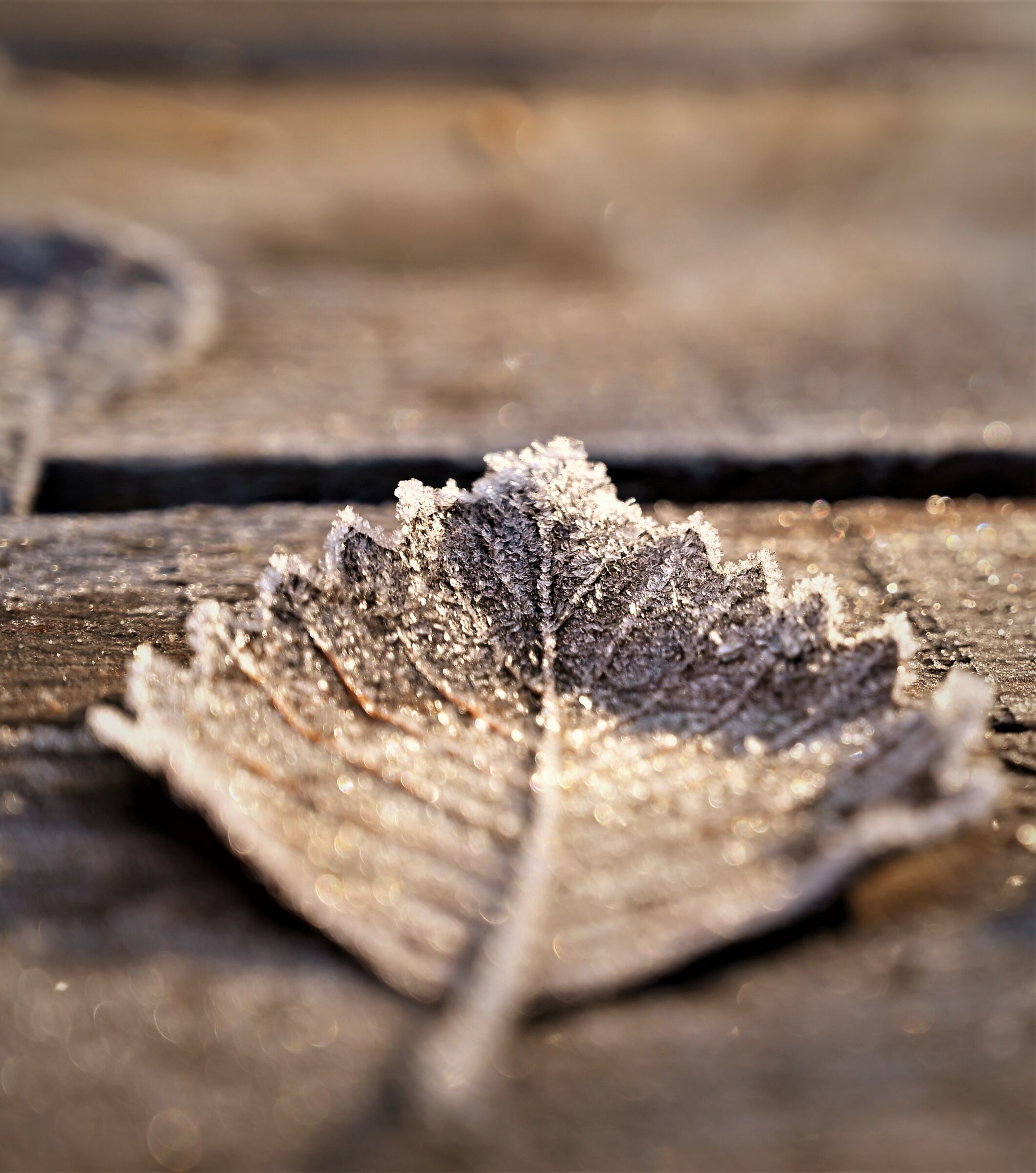 Let's try the details...