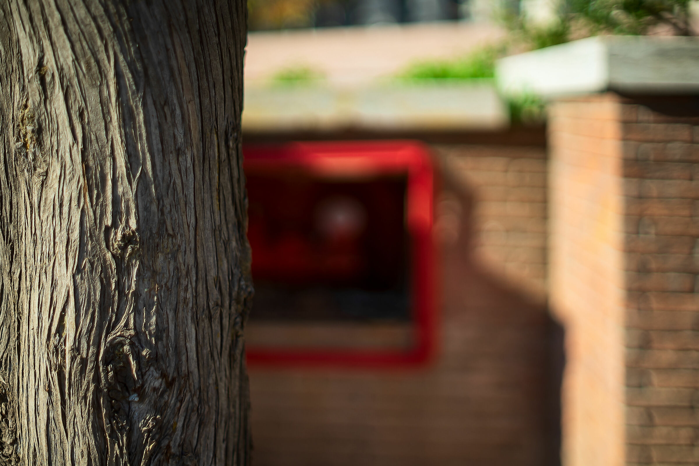 Test Bokeh Yashica ML 50 1.4