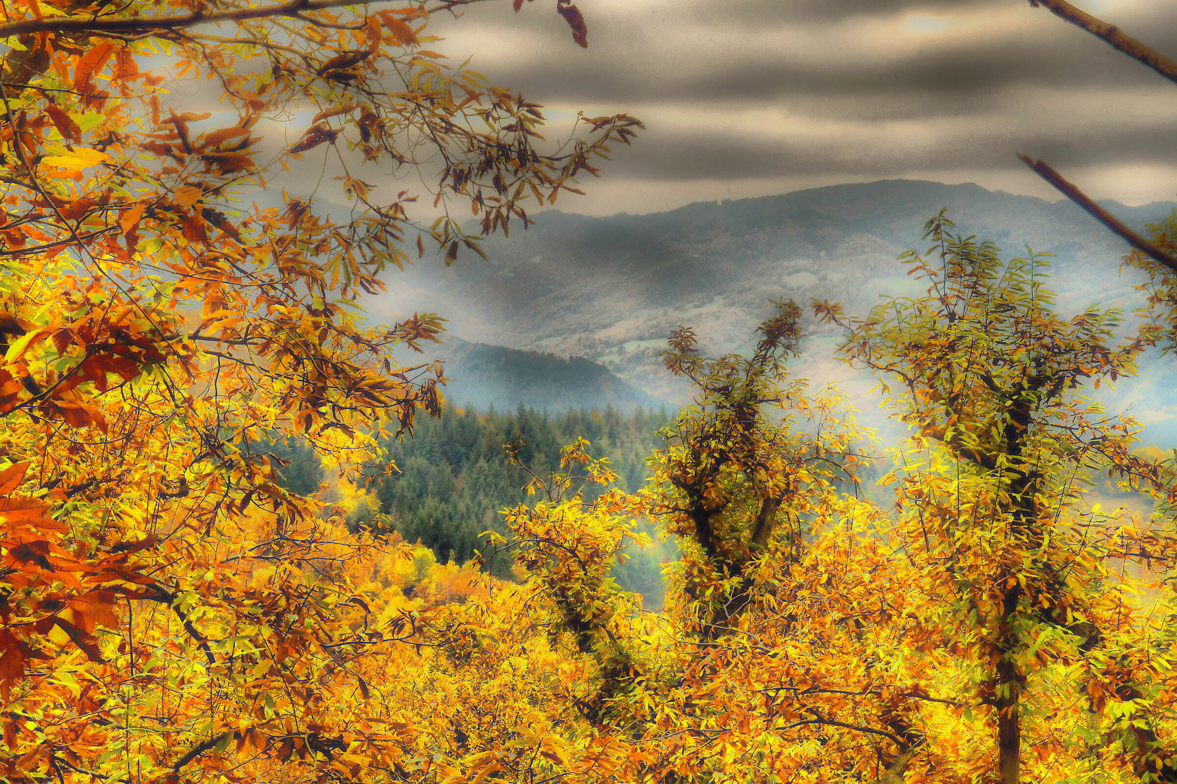 autumn panorama
