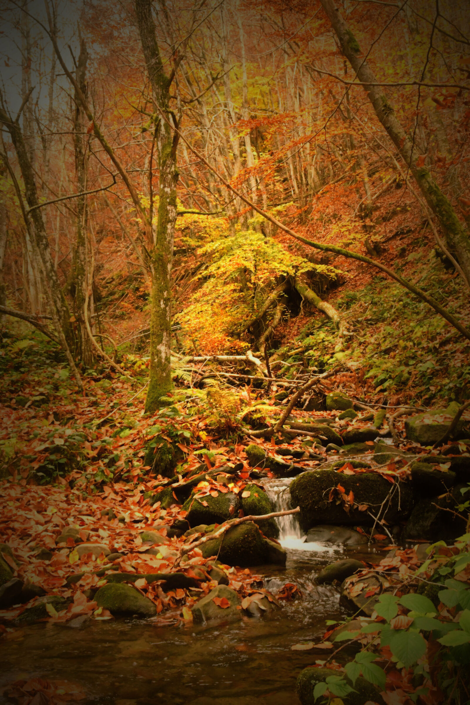 waterfall