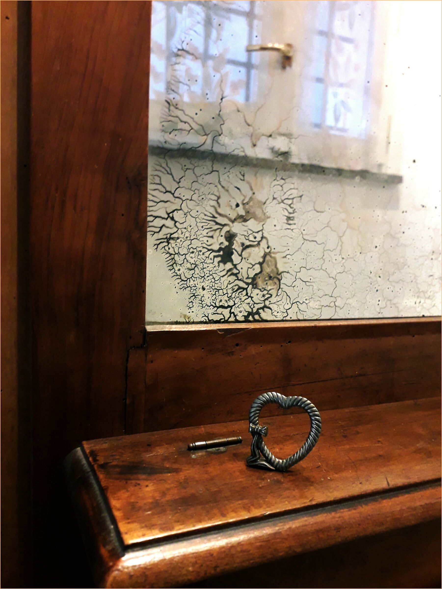 La finestra sul cortile