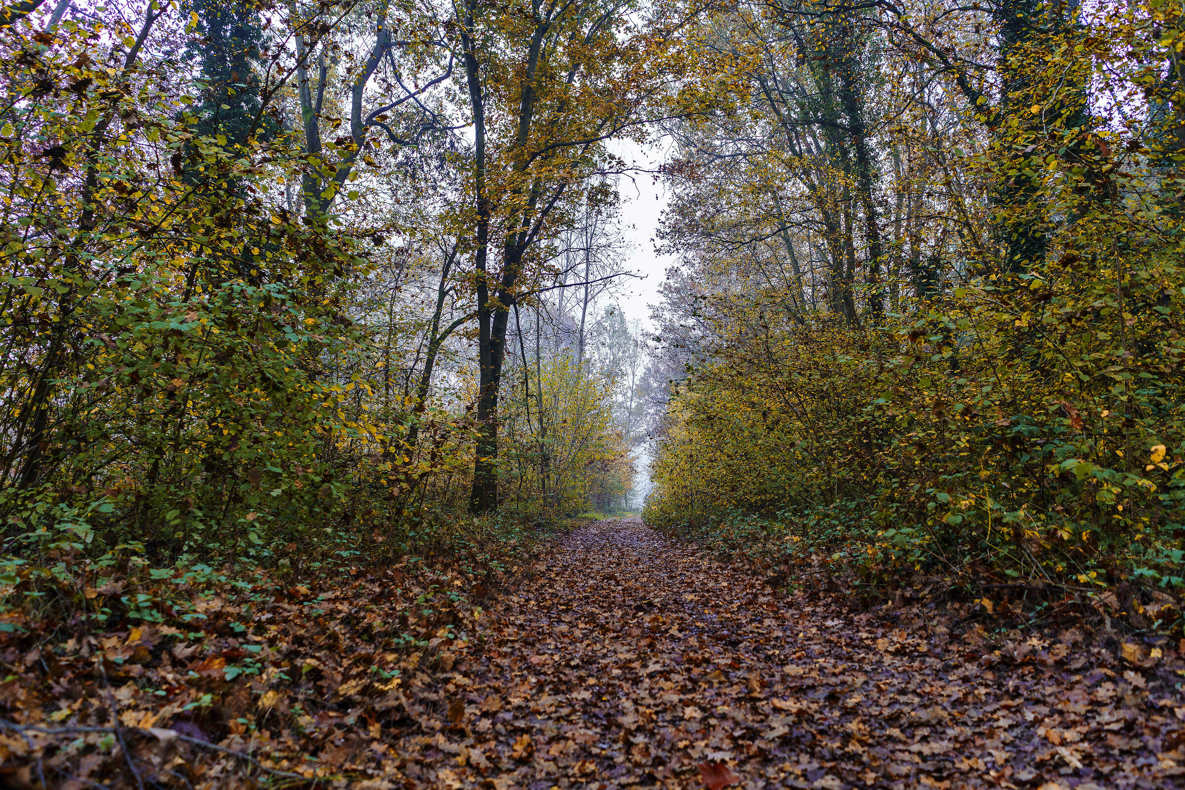 A spasso per il Parco