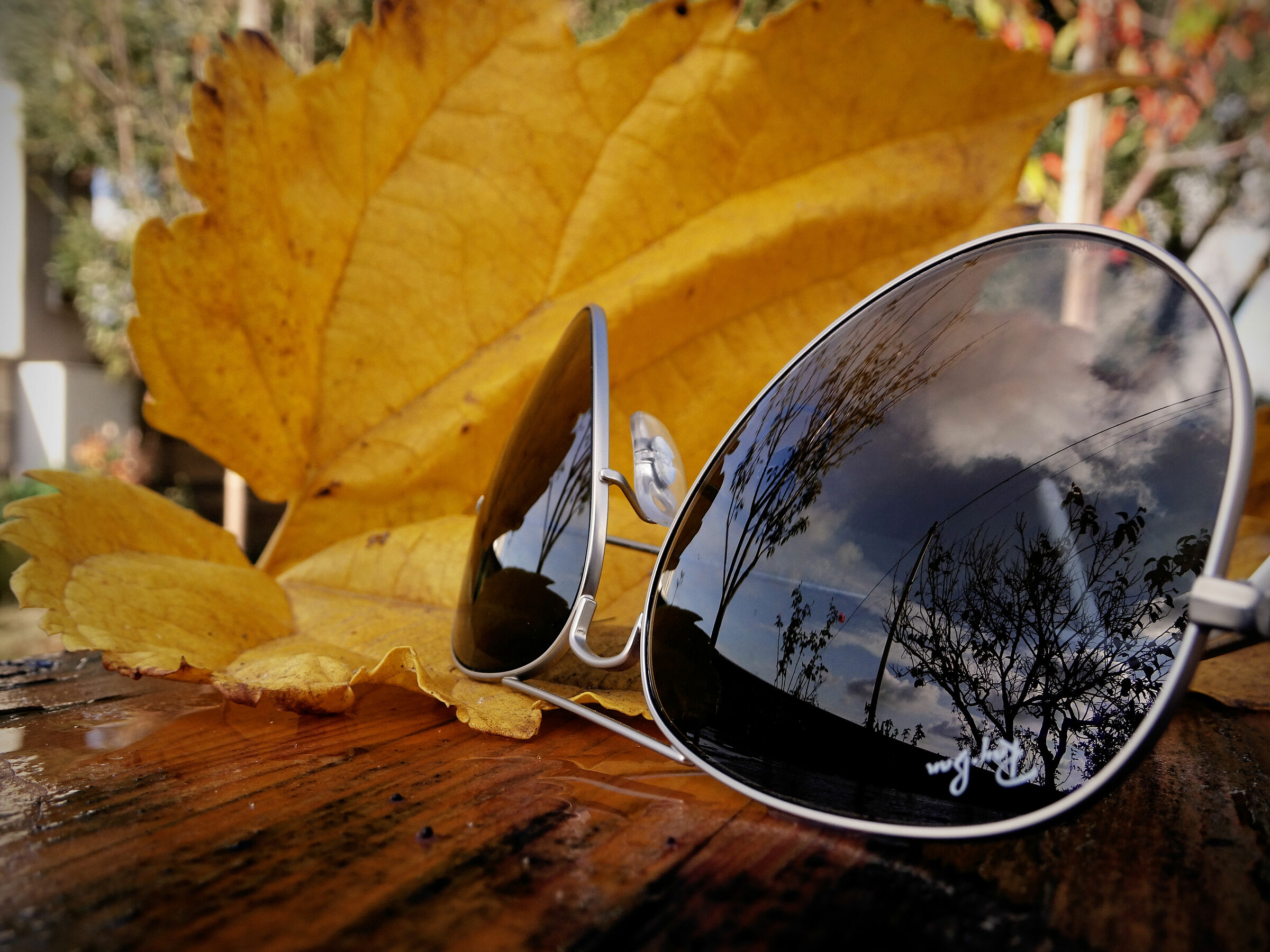 my ray-ban