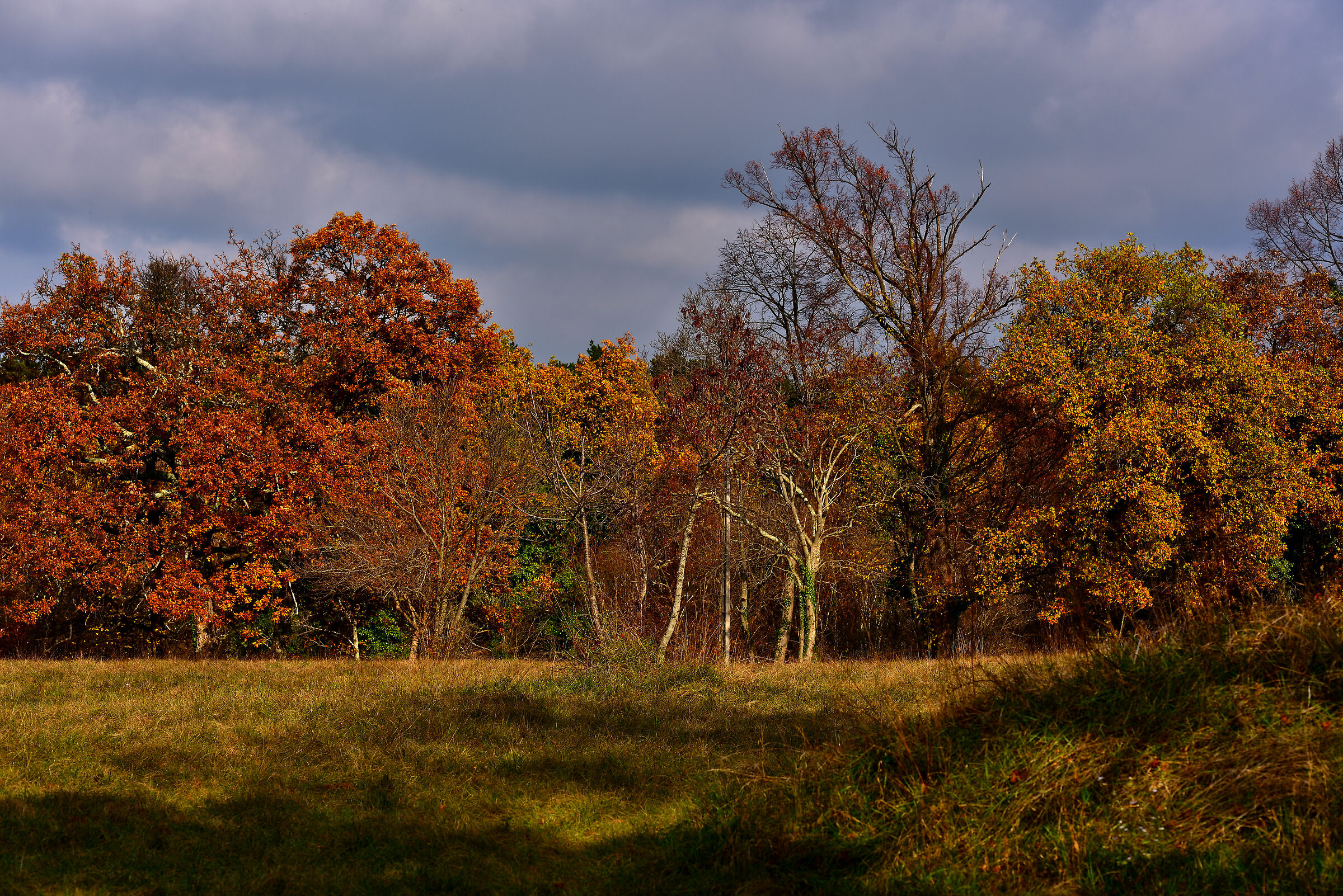Il carso si colora d'autunno