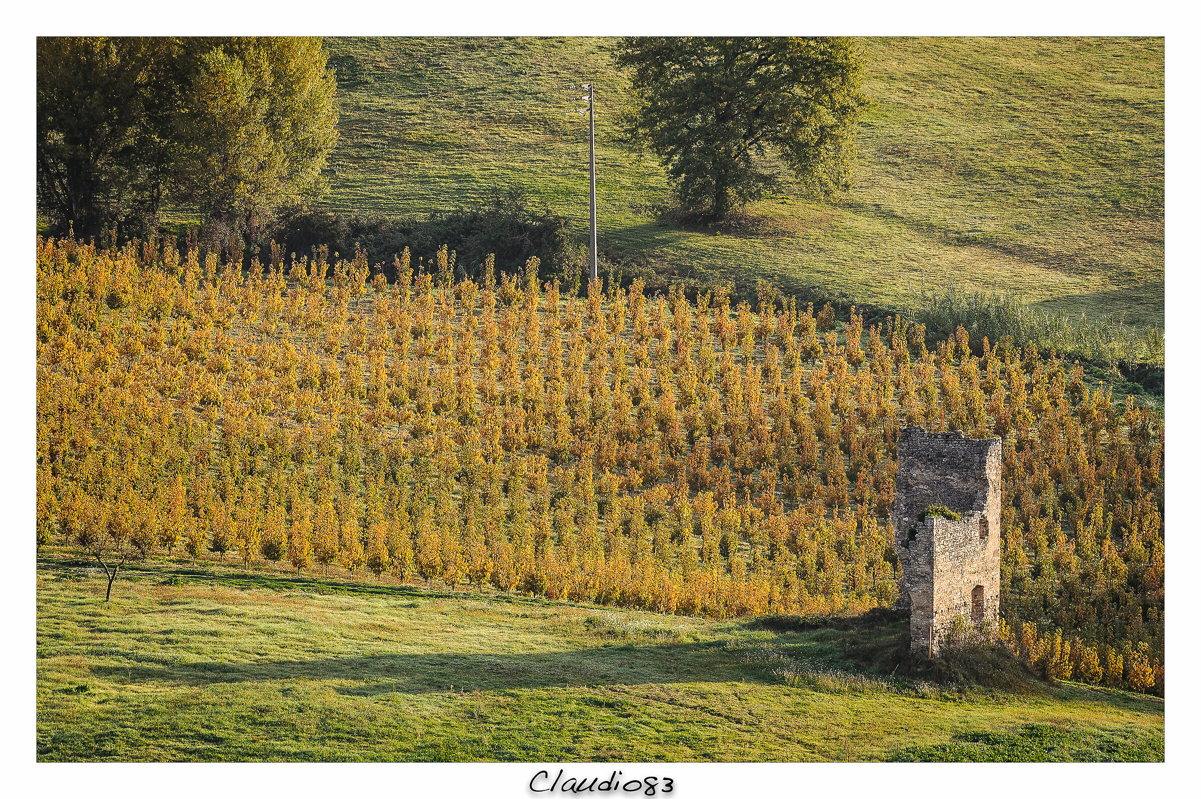 Autunno dal terrazzo di casa...(2)...