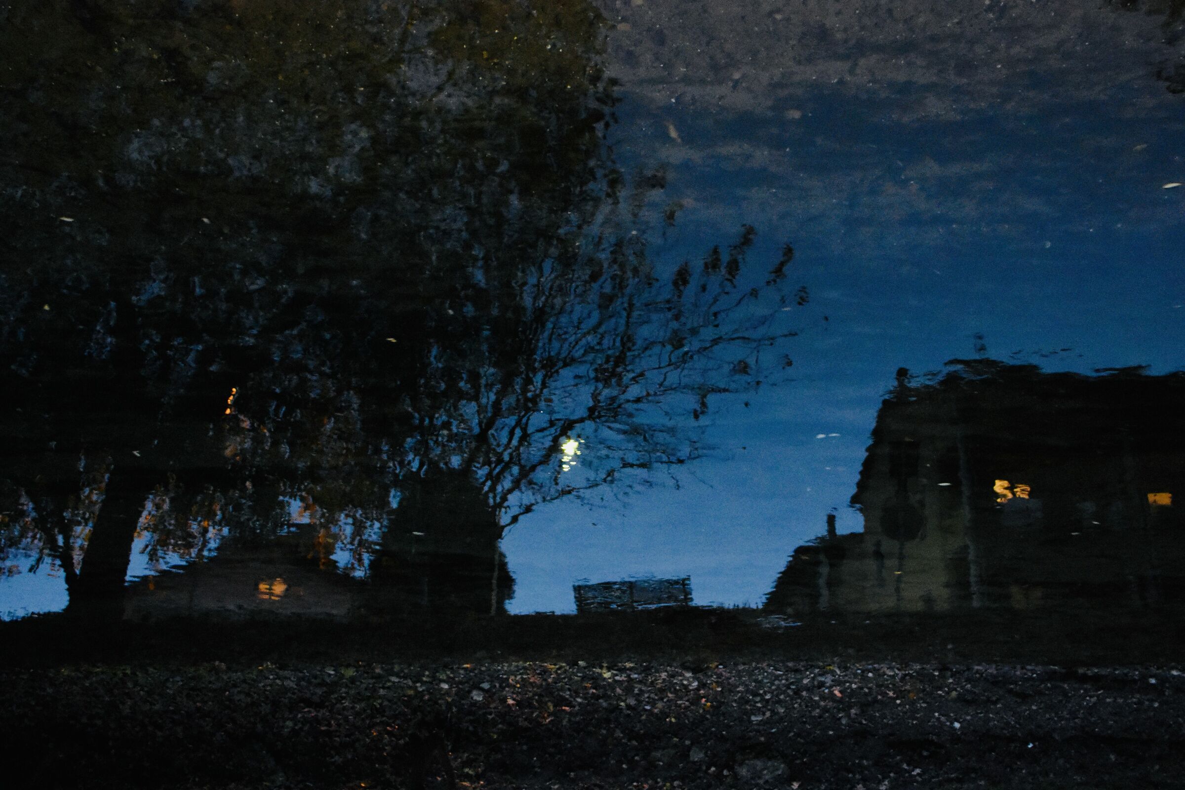 Riflessioni Notturne