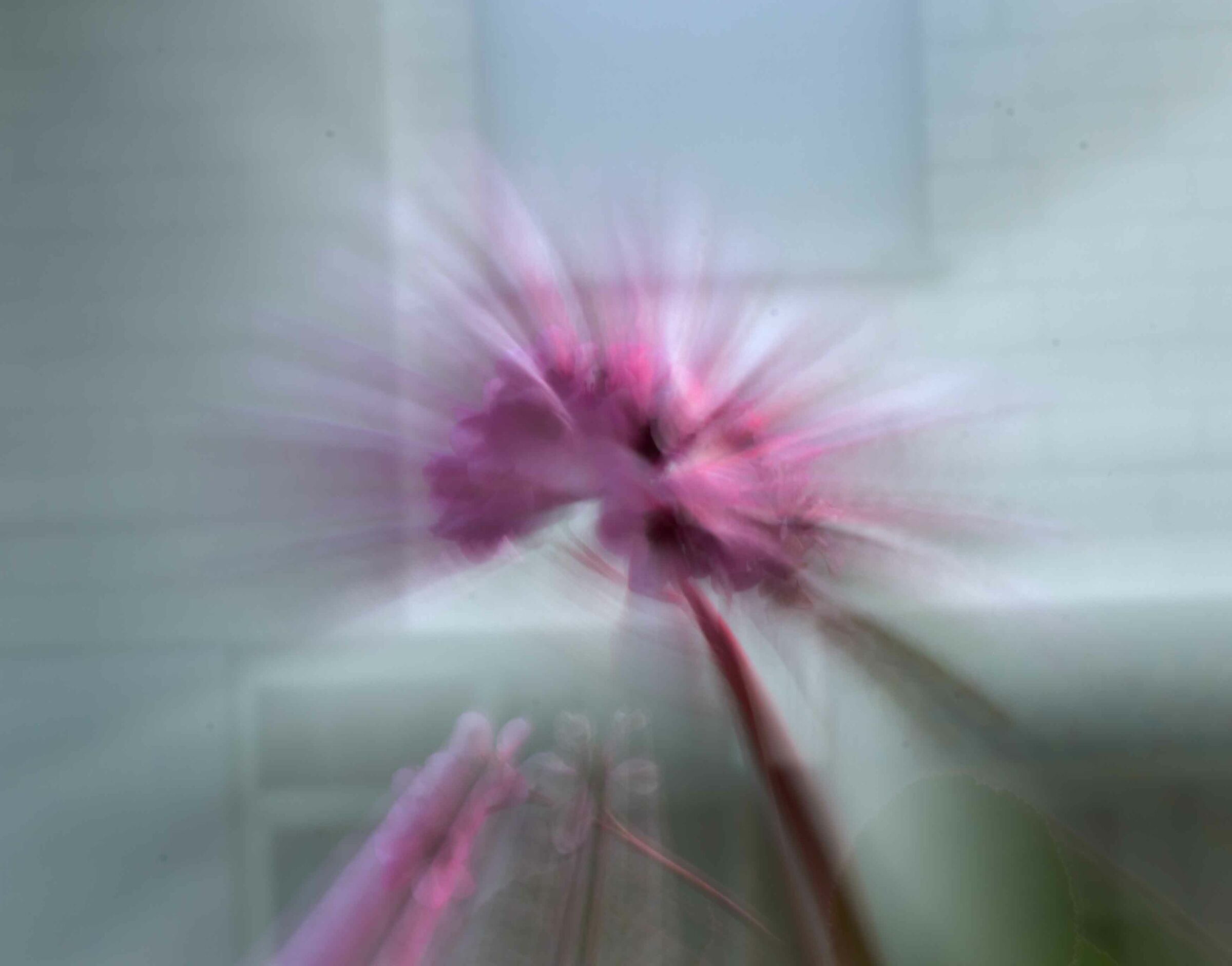 Primo esperimento di zoom burst