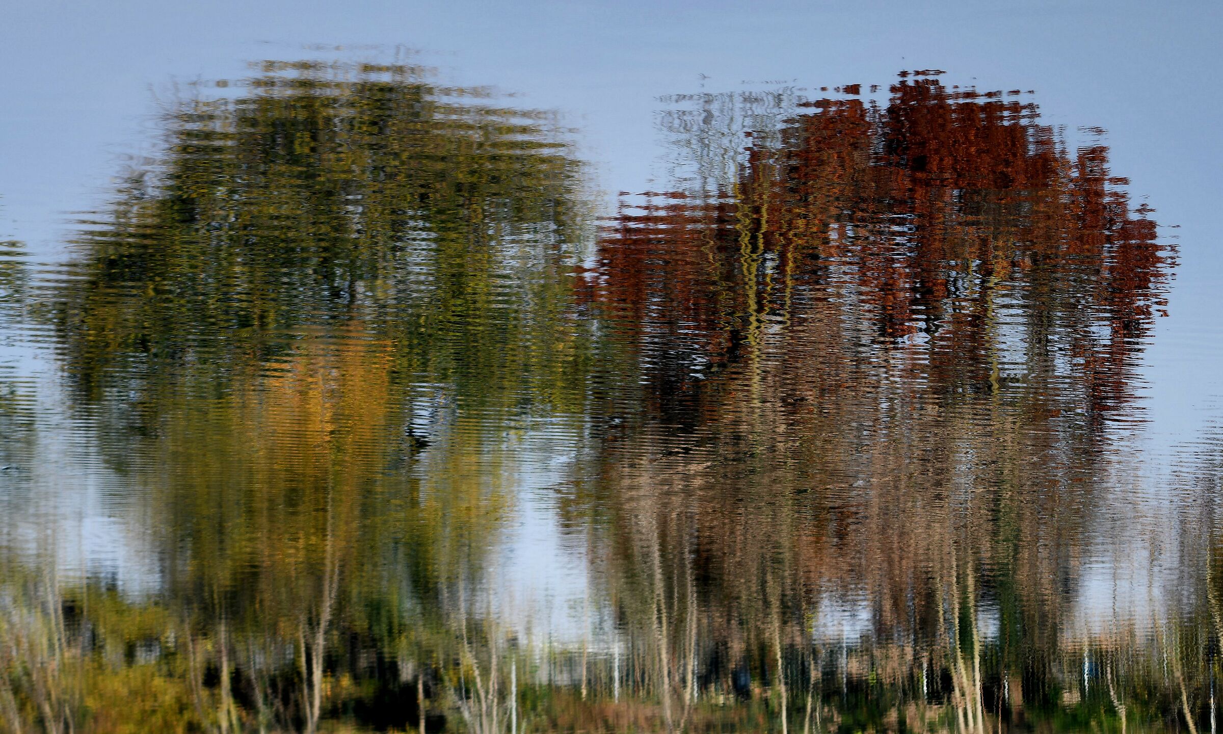 Impressionismo....di riflesso!