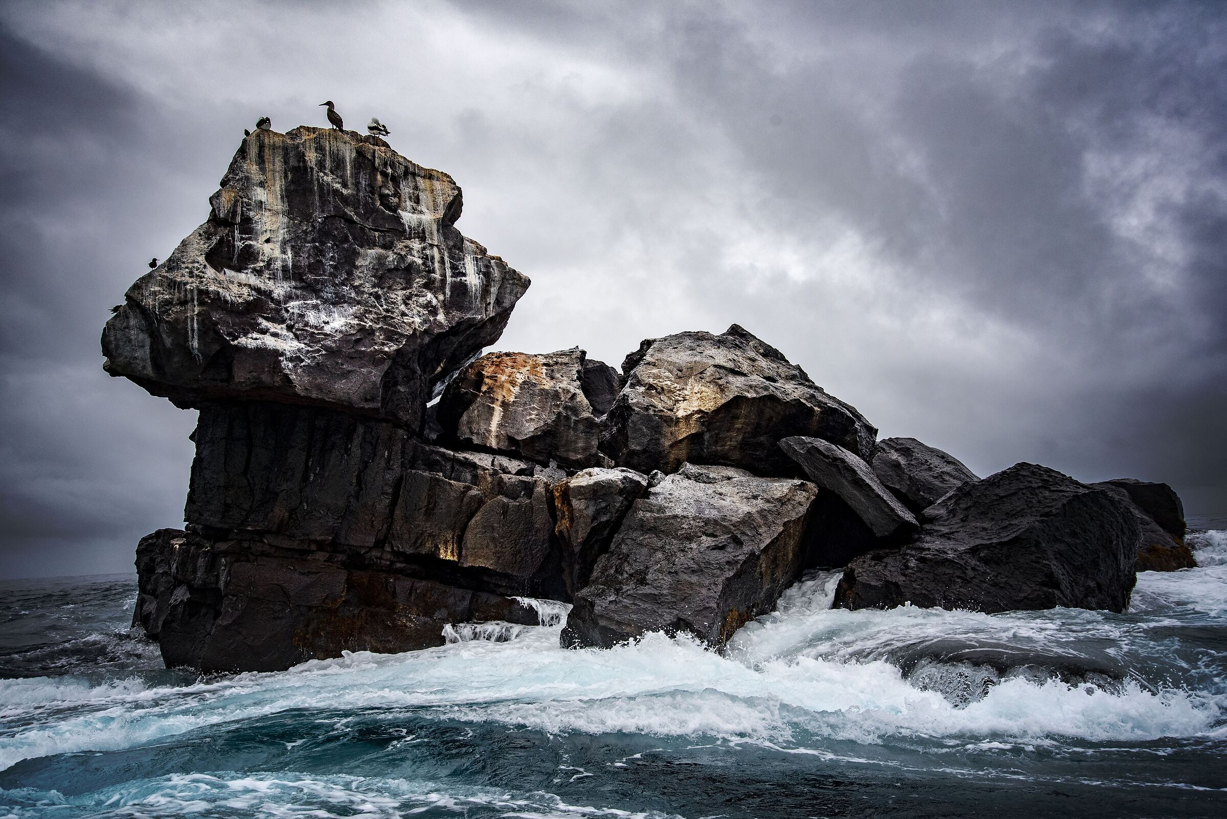 Scoglio in mezzo all'oceano, Isla Isabela, Galapagos