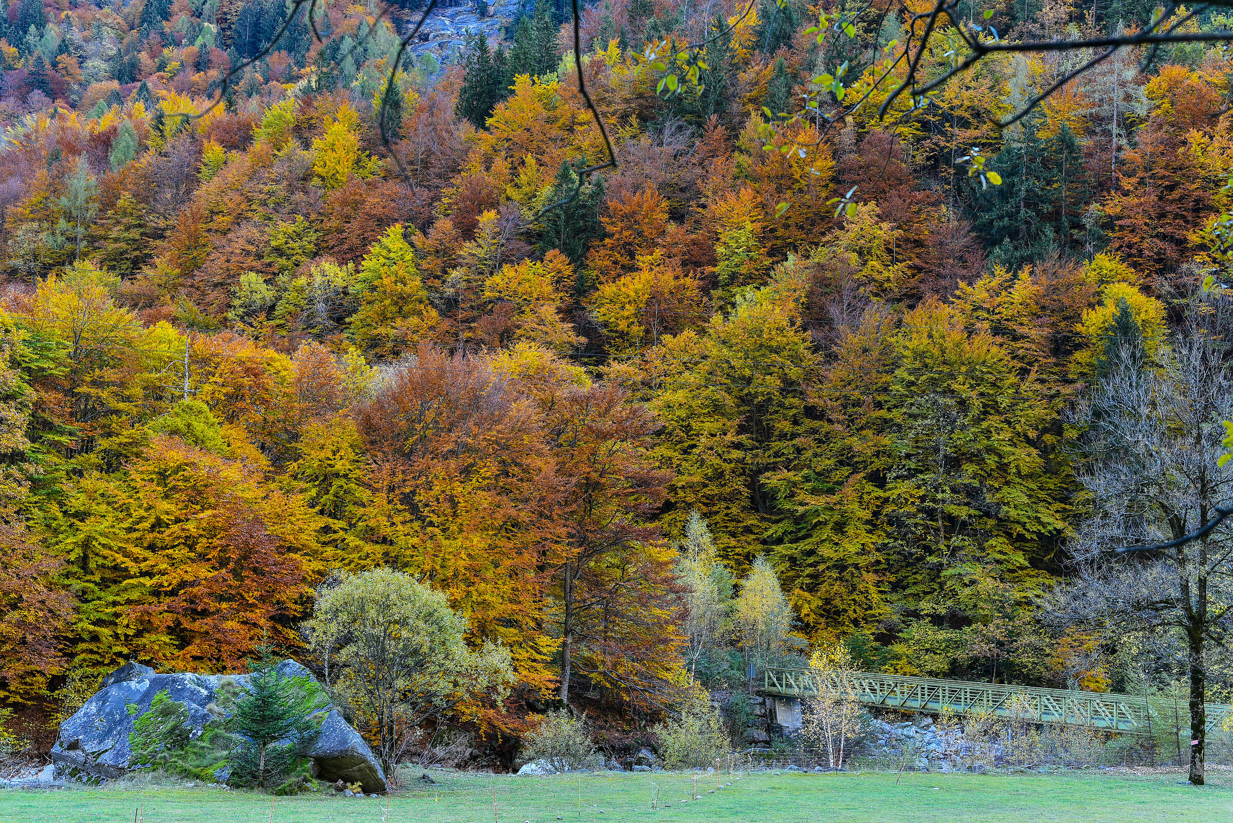 Autumn (Val Formazza)