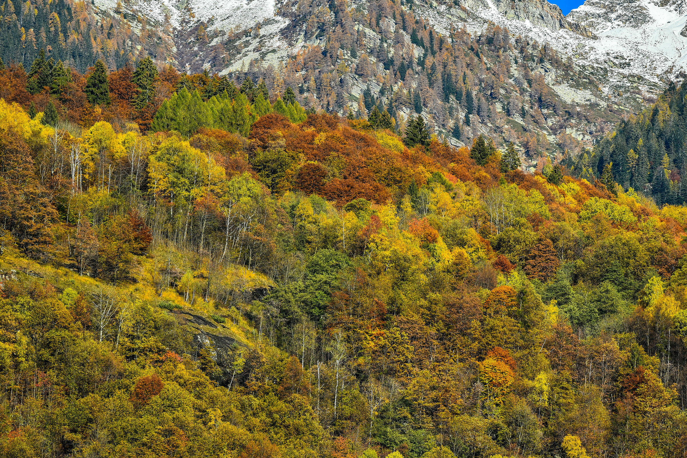 The mountain is colored