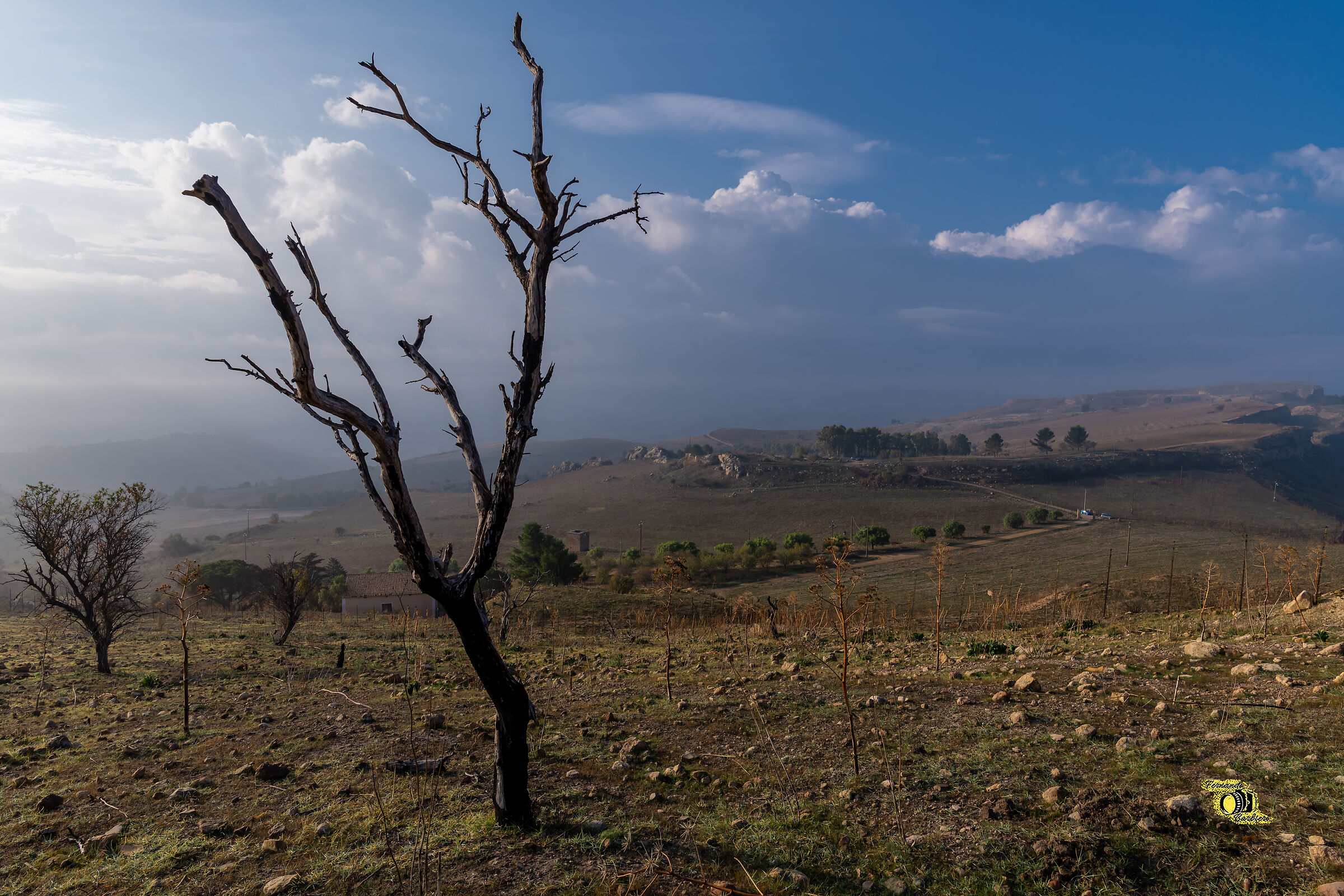 Solitudine e abbandono