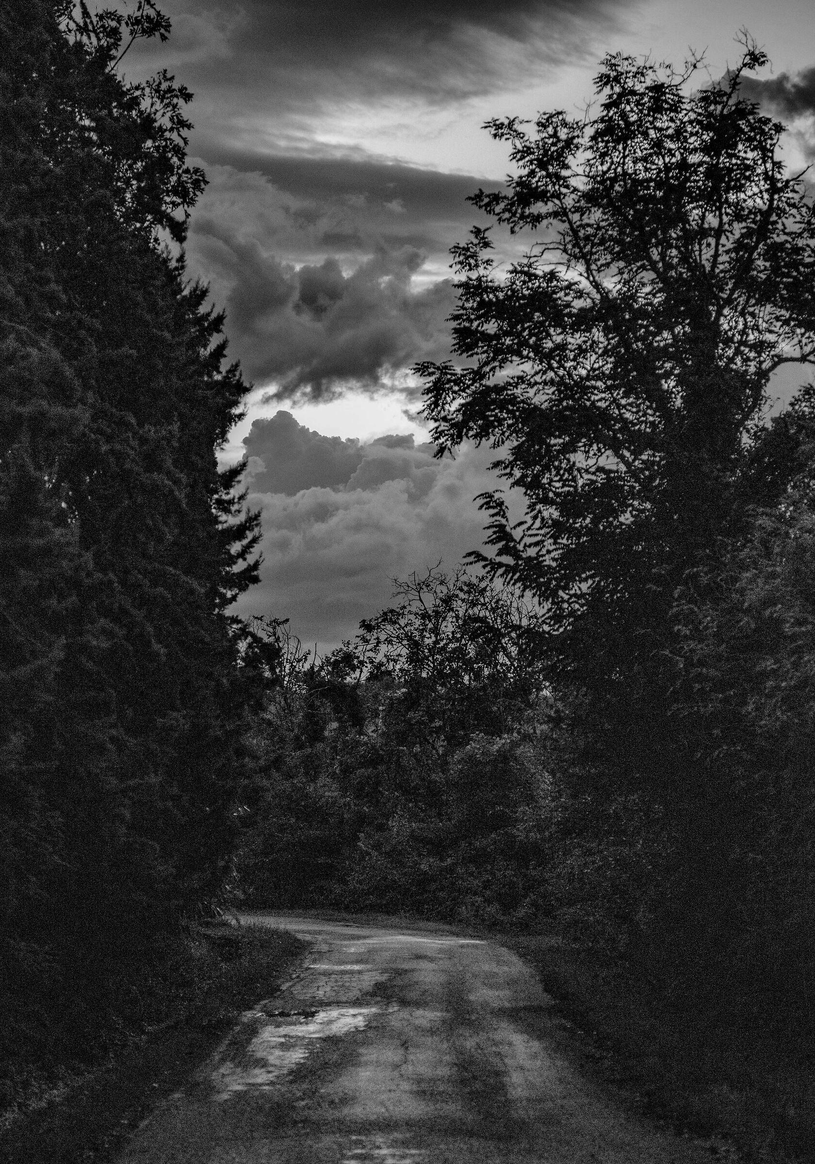 temporale in arrivo...