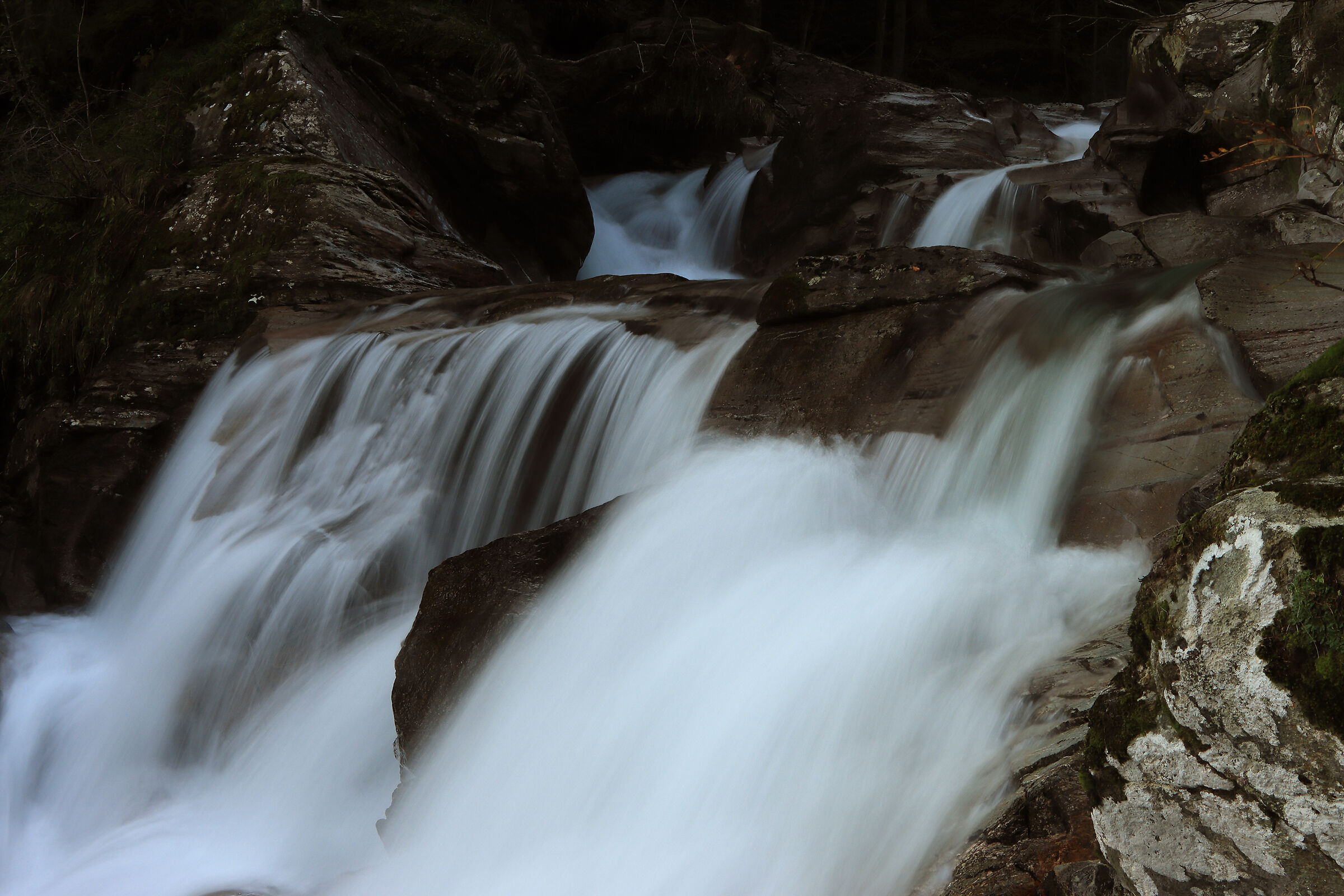 V A L S A N G U I G N O  8