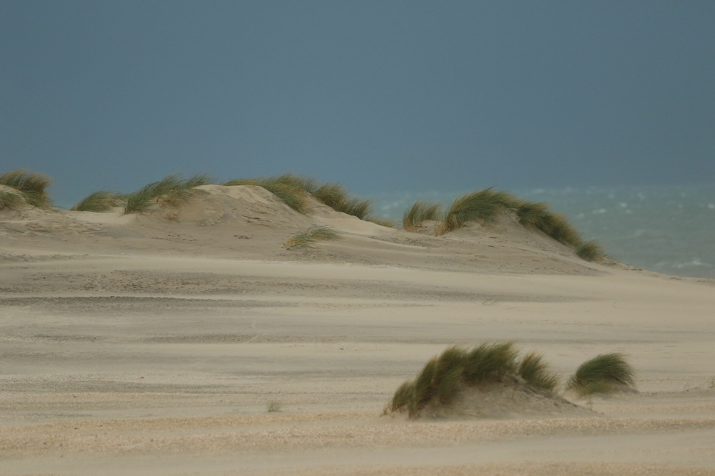 Sand dunes, Zandmotor, South Holland