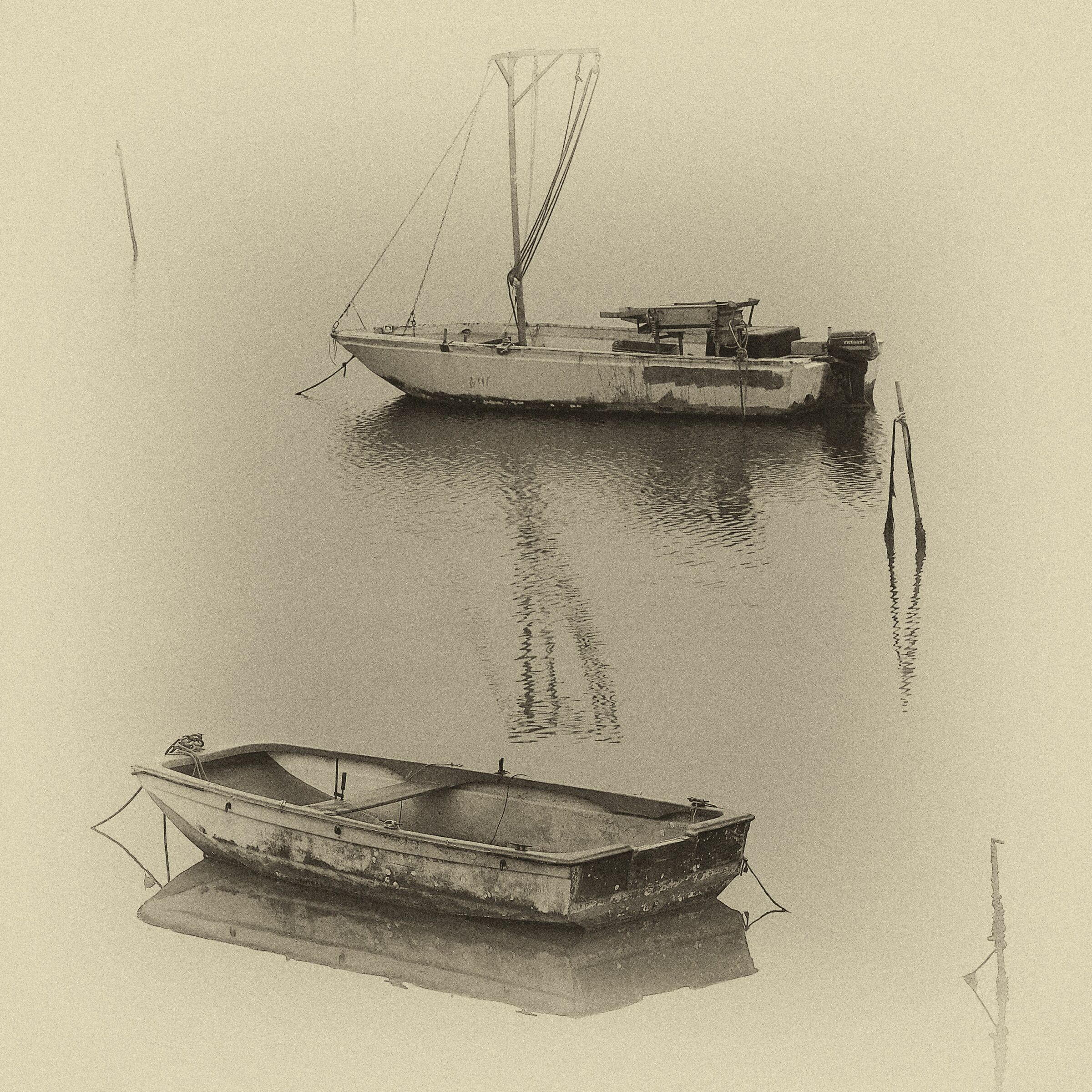 Sacca Degli Scardovari - 13/11/2020