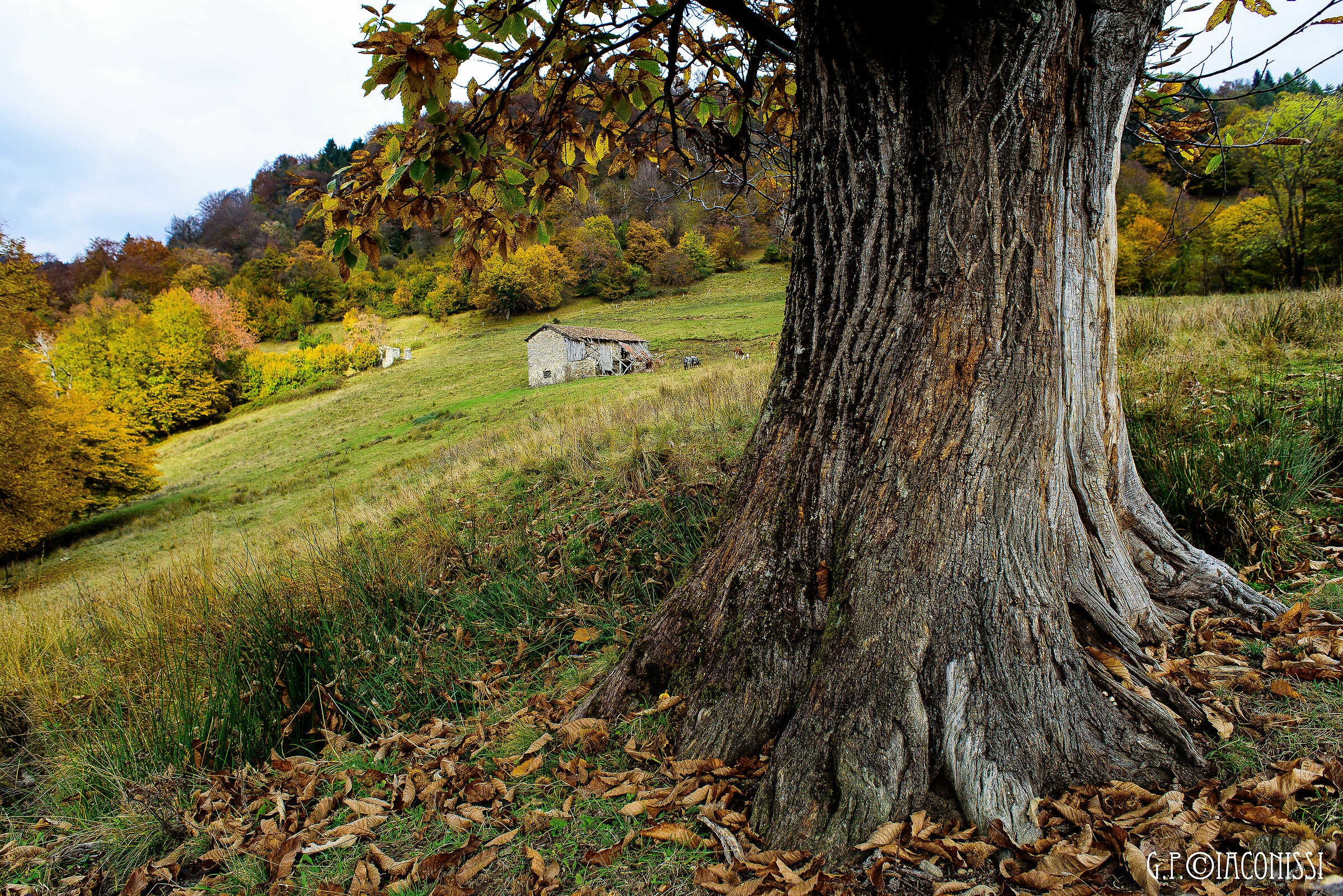 La fatica del vivere.