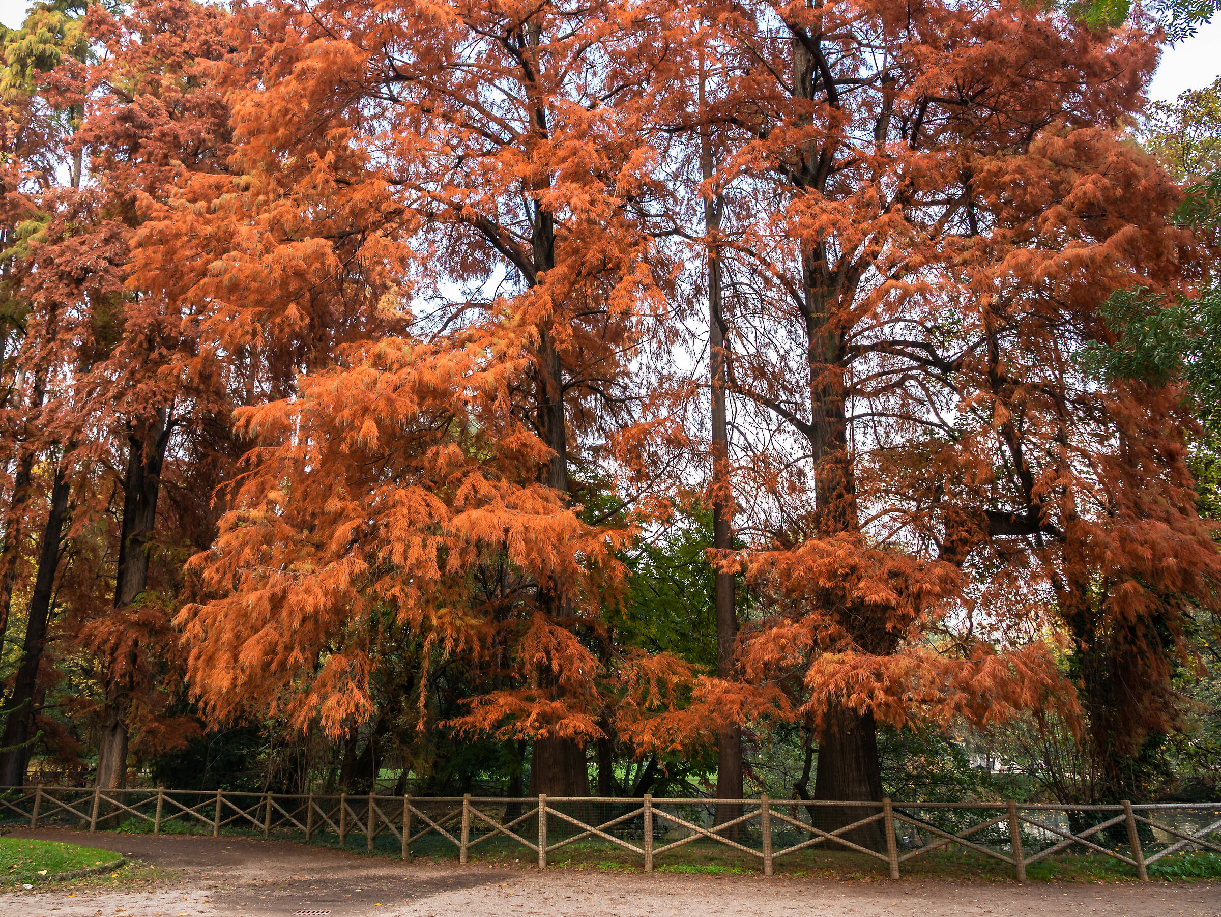 Indro Montanelli Park - Milan