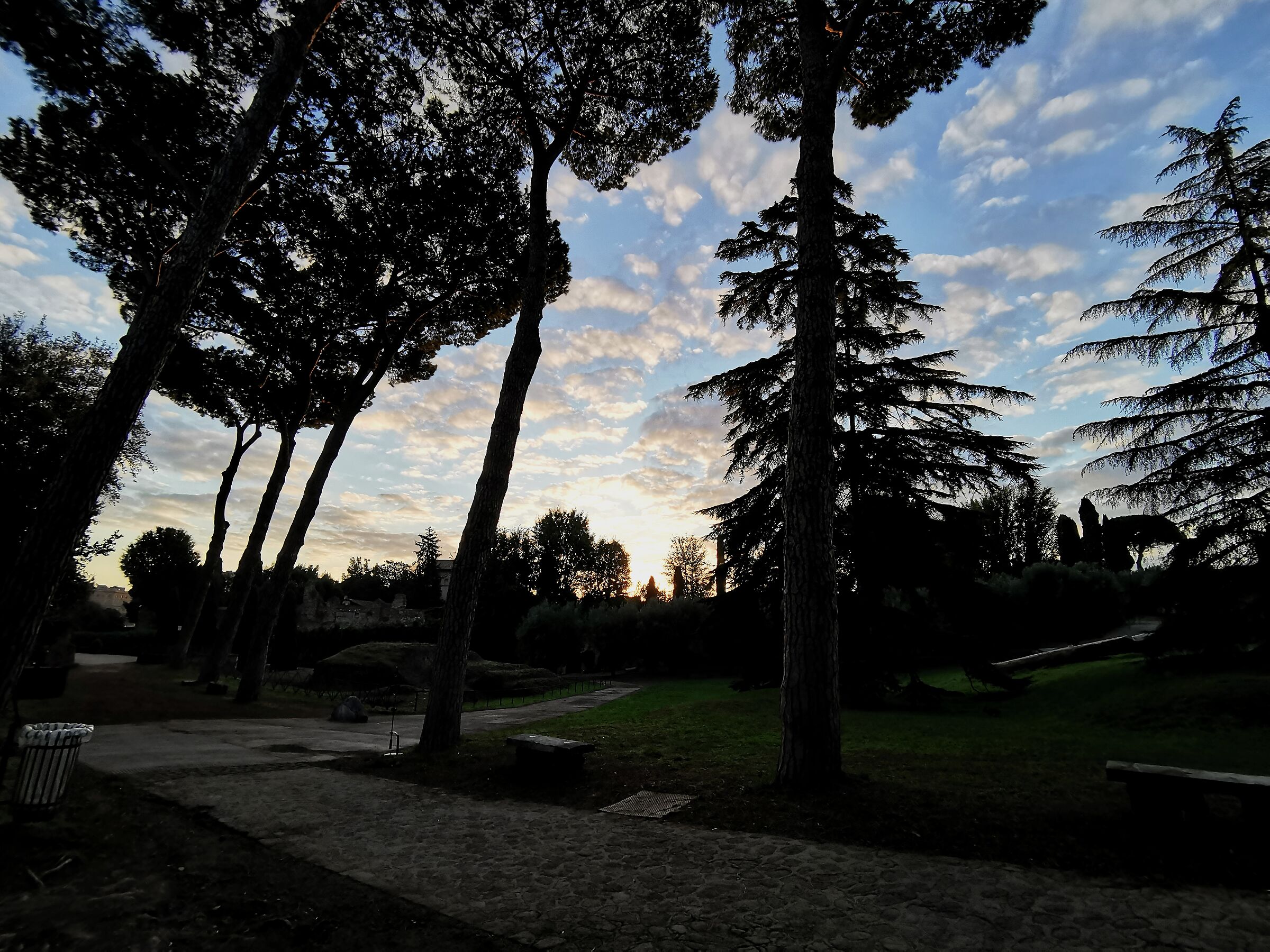 Alba nel cuore del Palatino