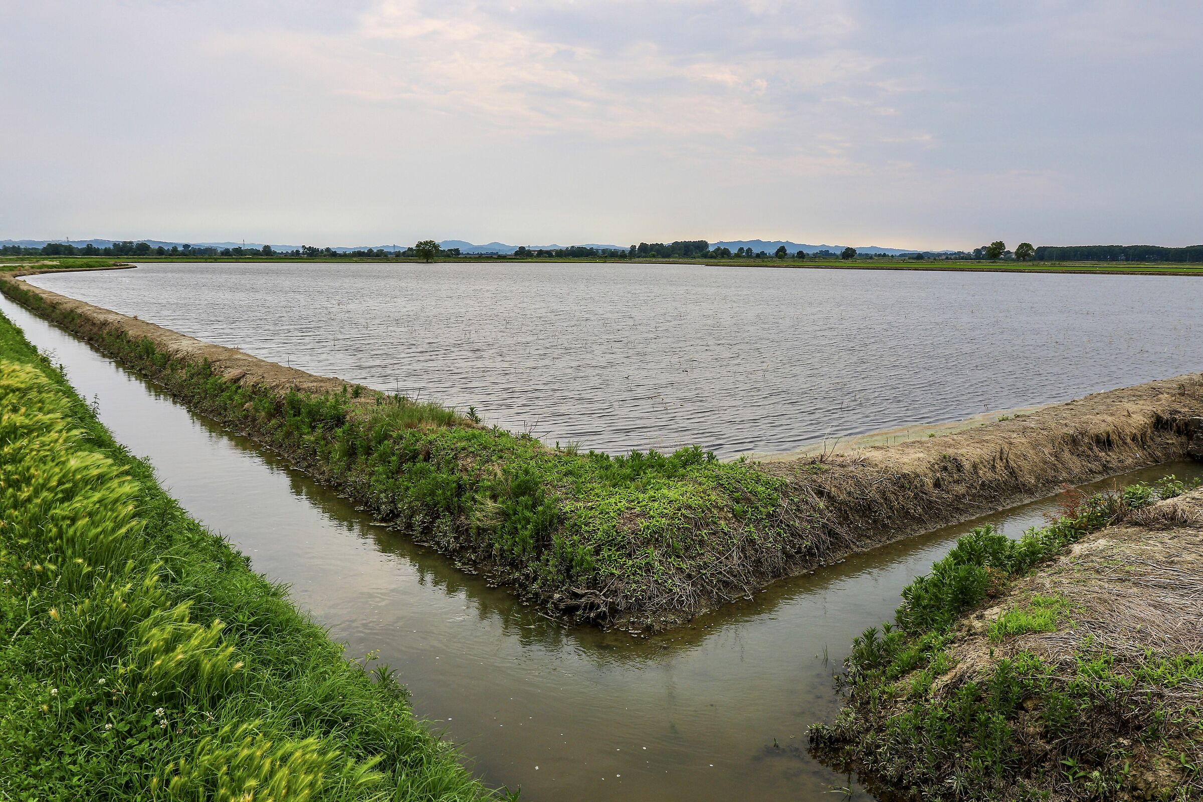 Vercellese, terre d'acqua.