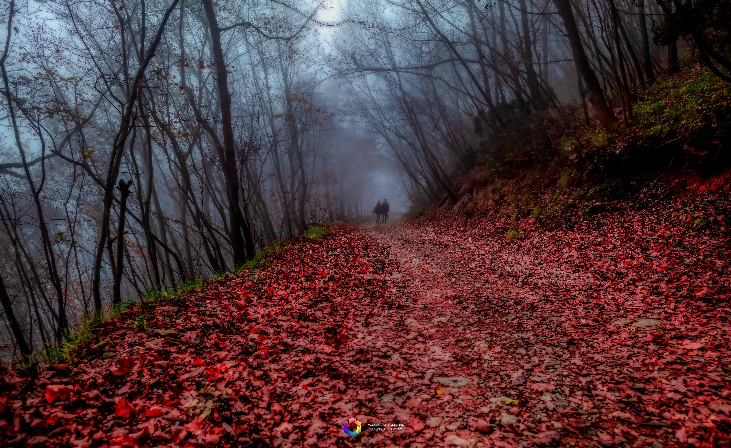 È l'incertezza che affascina. La nebbia rende le ...