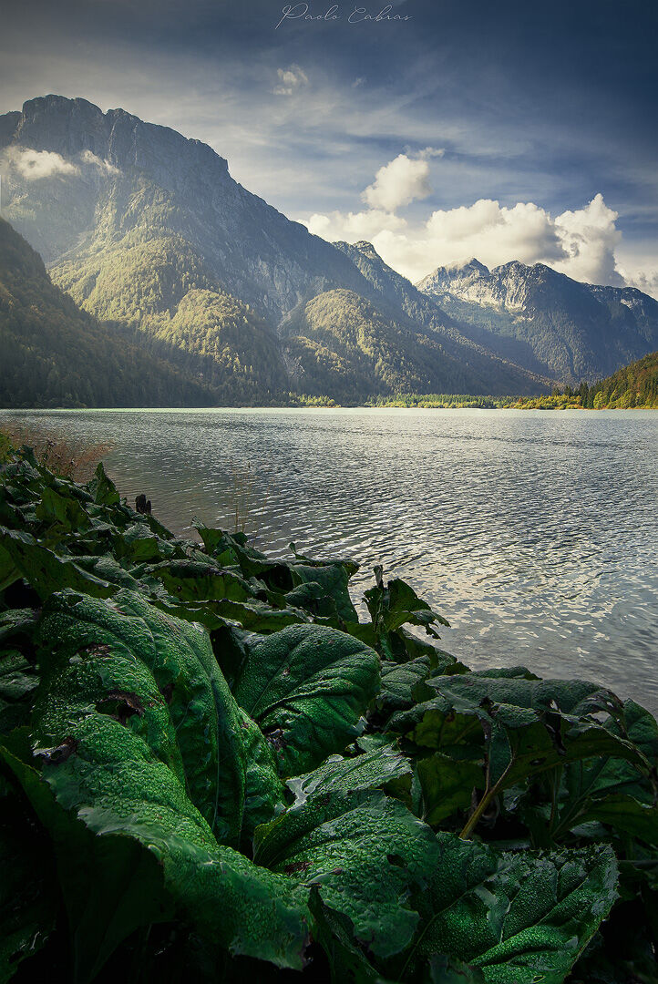 Lago del Predil in verde