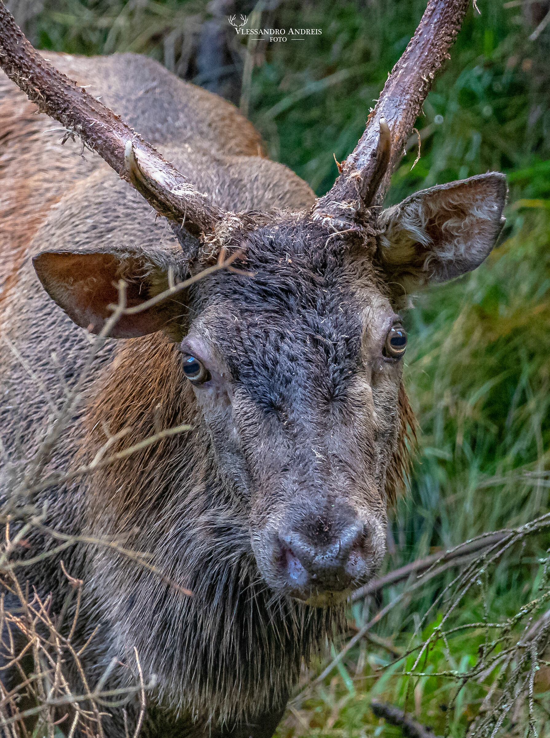 Sguardi ancora più intensi