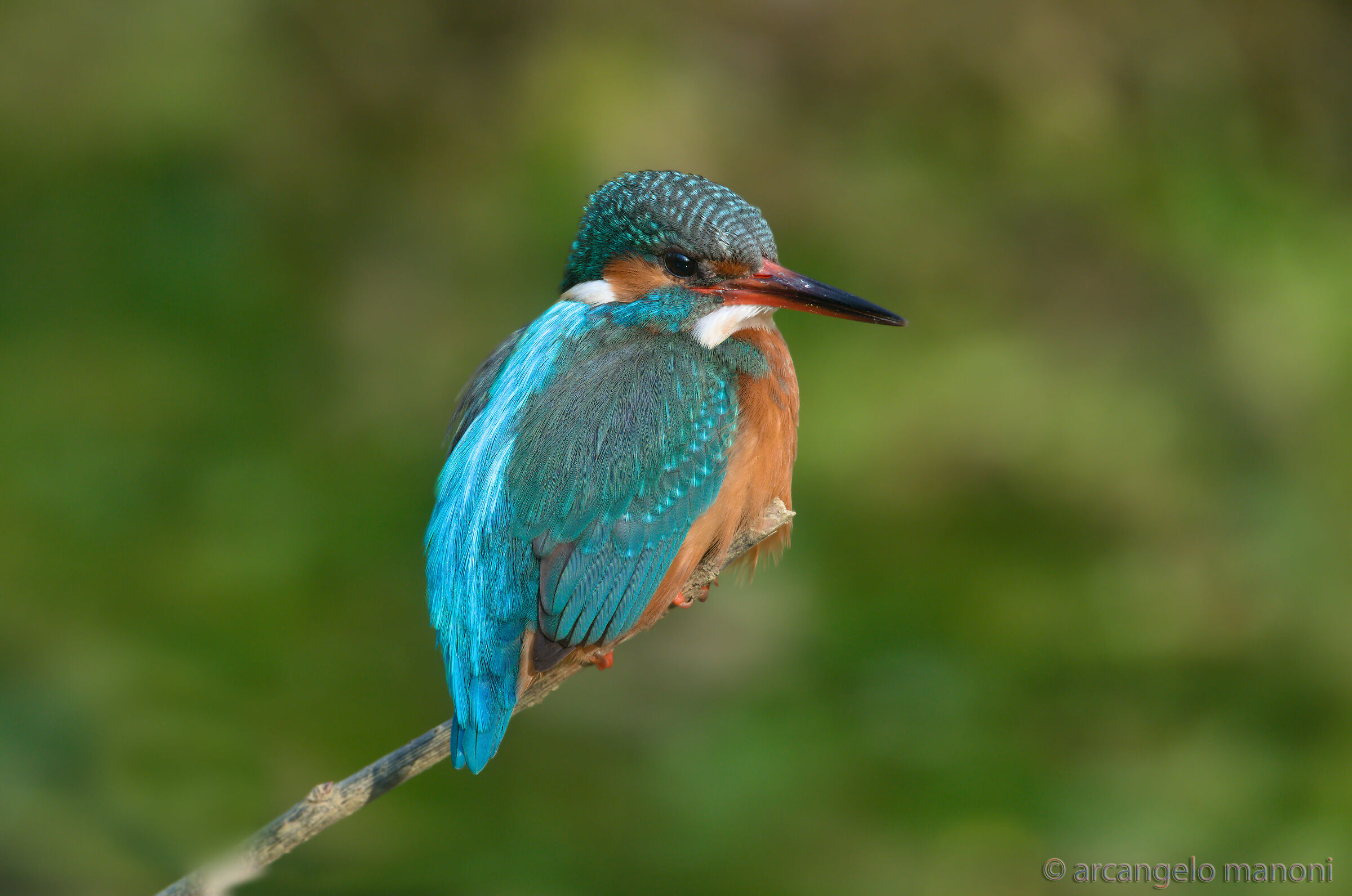 10 years have passed but nothing has changed