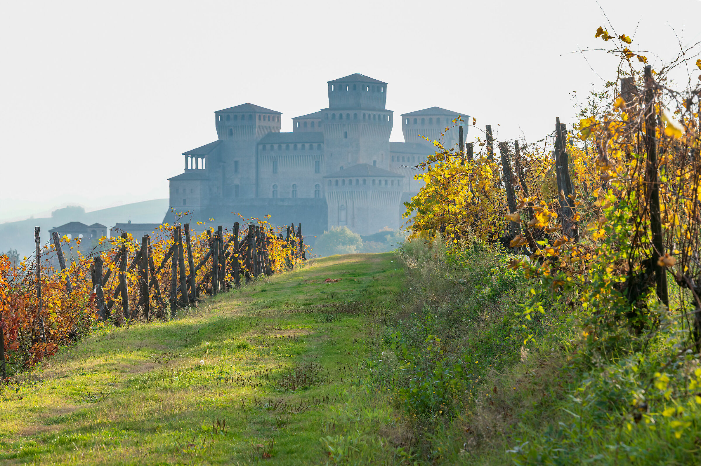 Autumn frames the castle