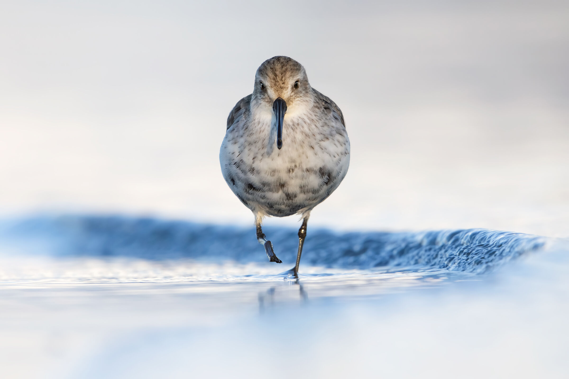 ..circondato dall'onda..